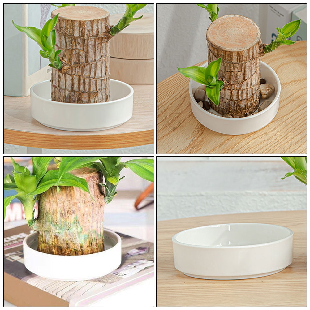 Worgeous Hydroponic Ceramic Tray Indoor Garden Pot Saucers Plant for Pots White - Image 2