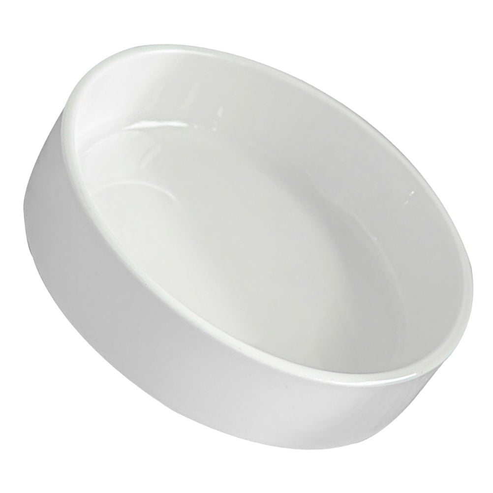 Worgeous Hydroponic Ceramic Tray Indoor Garden Pot Saucers Plant for Pots White - Image 6