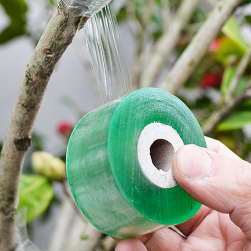 SWETRACE Grafting Apparatus 4 Rolls Multi-Function Stretchable Budding Tape for Fruit Trees 39.3in x 0.79in - Image 8