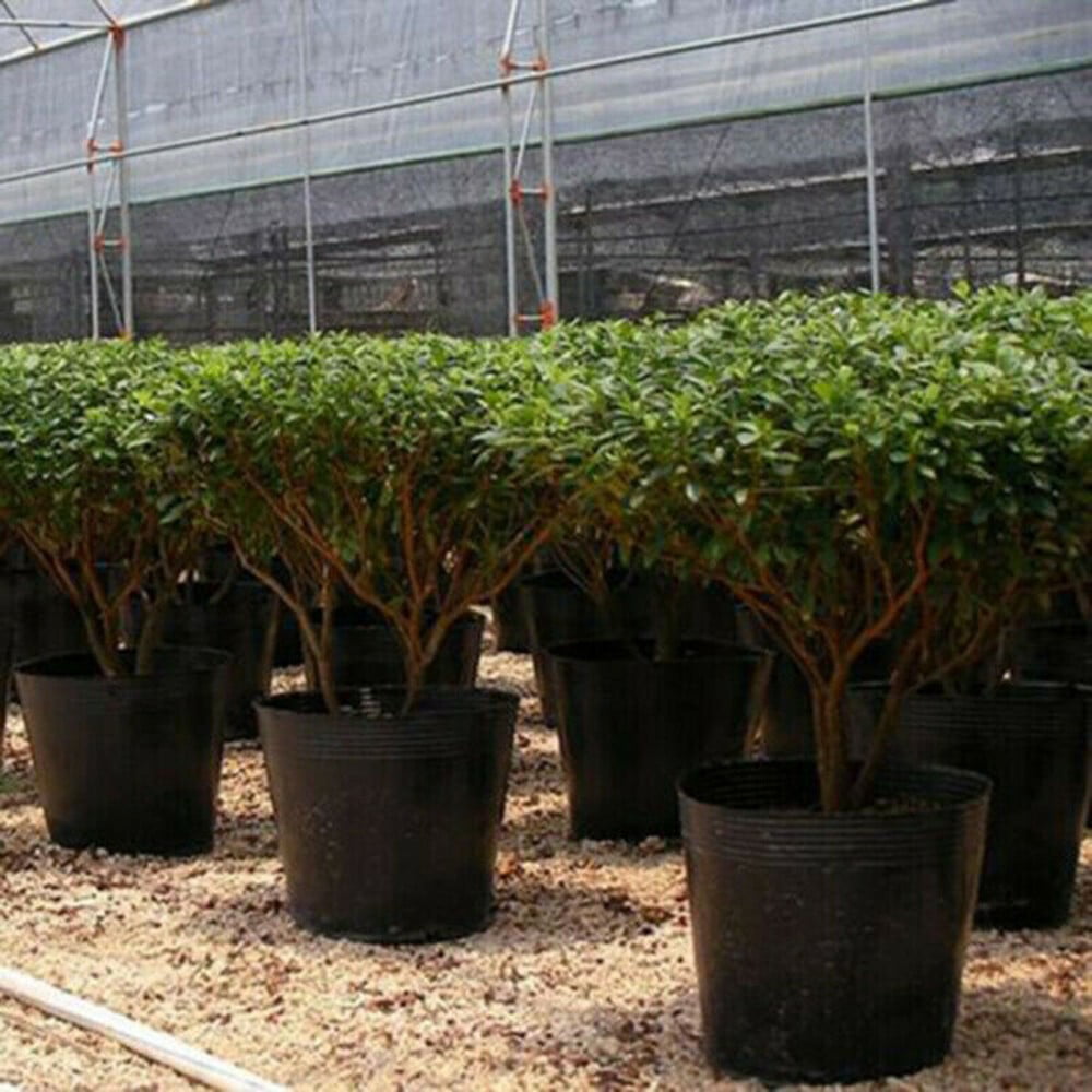100 Pack Black Plastic Nursery Pots Plant Containers Garden Flower Seedling Planter With Drainage Holes 5Cm 6.5Cm 7.2Cm 7.2*7.2Cm - Image 2