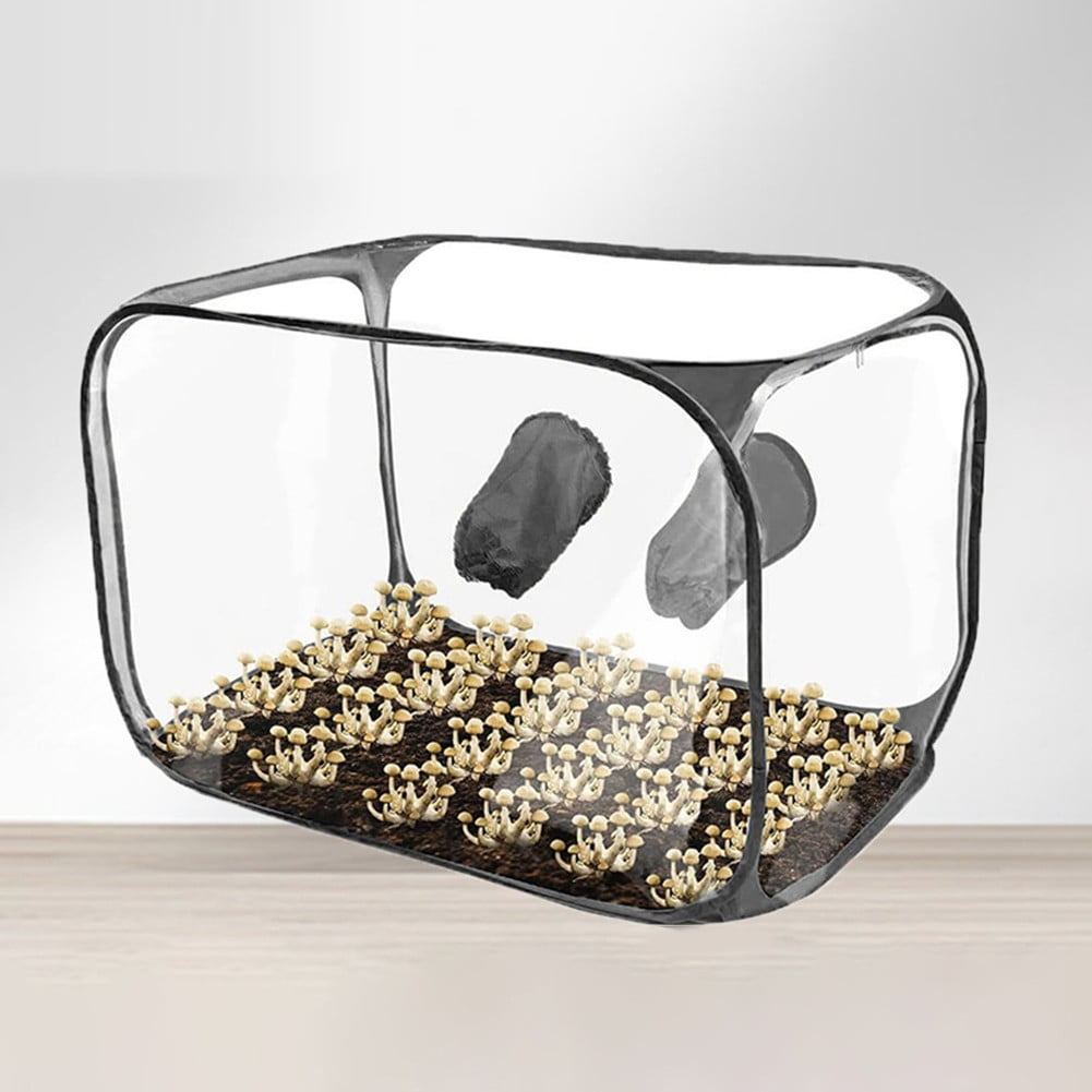 Still Air Box, Mushroom Grow Kit, Portable Compact Still Air Box Mycology Balck Smile Home - Image 1