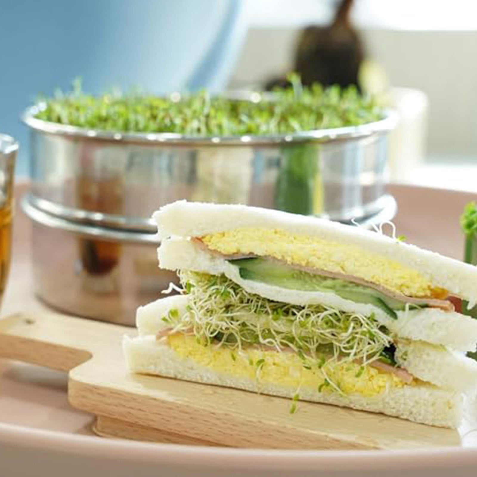 Stainless Steel Sprout Propagation Set 3-Tier Germination Trays 3Tier Germination Smile Home - Image 8