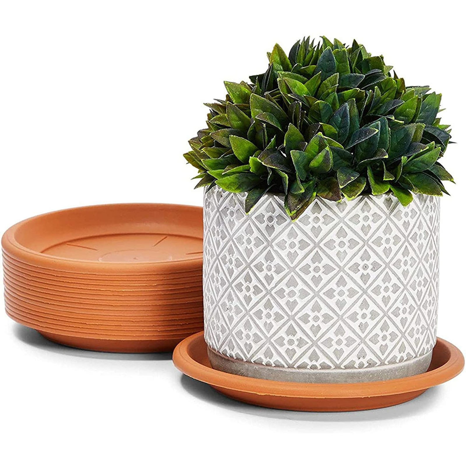 Heavy Duty Plastic Plant Saucer - 8 Inch Round Flower Pot Drip Tray, Durable Flowerpot Base for Indoor/Outdoor Use, Water Catcher for Potted Plants, Easy to Clean, Black B - Image 3