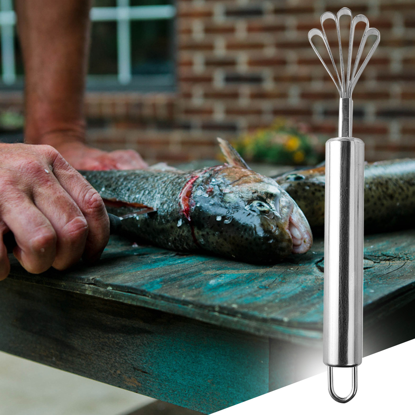 Stainless Steel Coconut Scraper, Manual Multi-Purpose Grater for Fruits, Vegetables, Fish Scales, Kitchen Tool with Suction Base & Safety Guard 7.67
