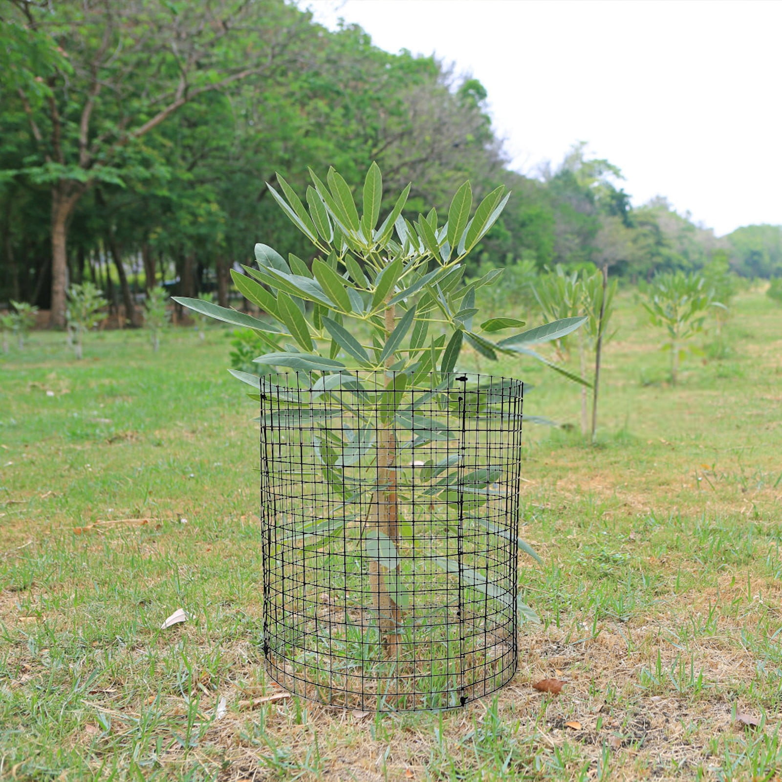 Wire Plant Protectors Wire Plant Cages Metal Mesh Plant Cage Chicken Wire Cloche with Ground Stakes and Nylon Ties Protect Plants,Garden,Shrubs and Vegetables from Animals 6PC - Image 3