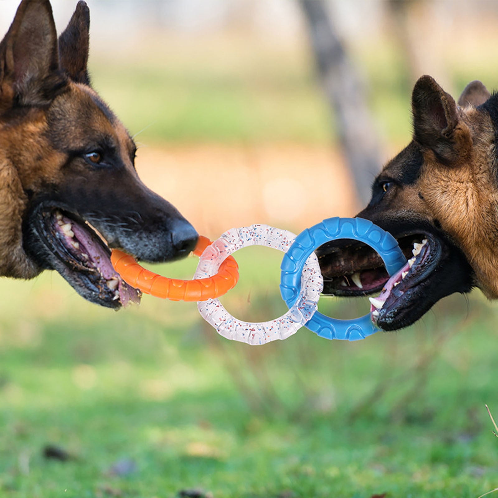3-Ring Tug Dog Toy, Interactive Tug Pull Toy for Training and Teeth Cleaning, Indestructible Rubber of War Dog Chew Toy for Aggressive Chewers, Outdoor Puppy Ring Toy for Small Medium Large Dogs Orange-blue and purple-yellow - Image 2