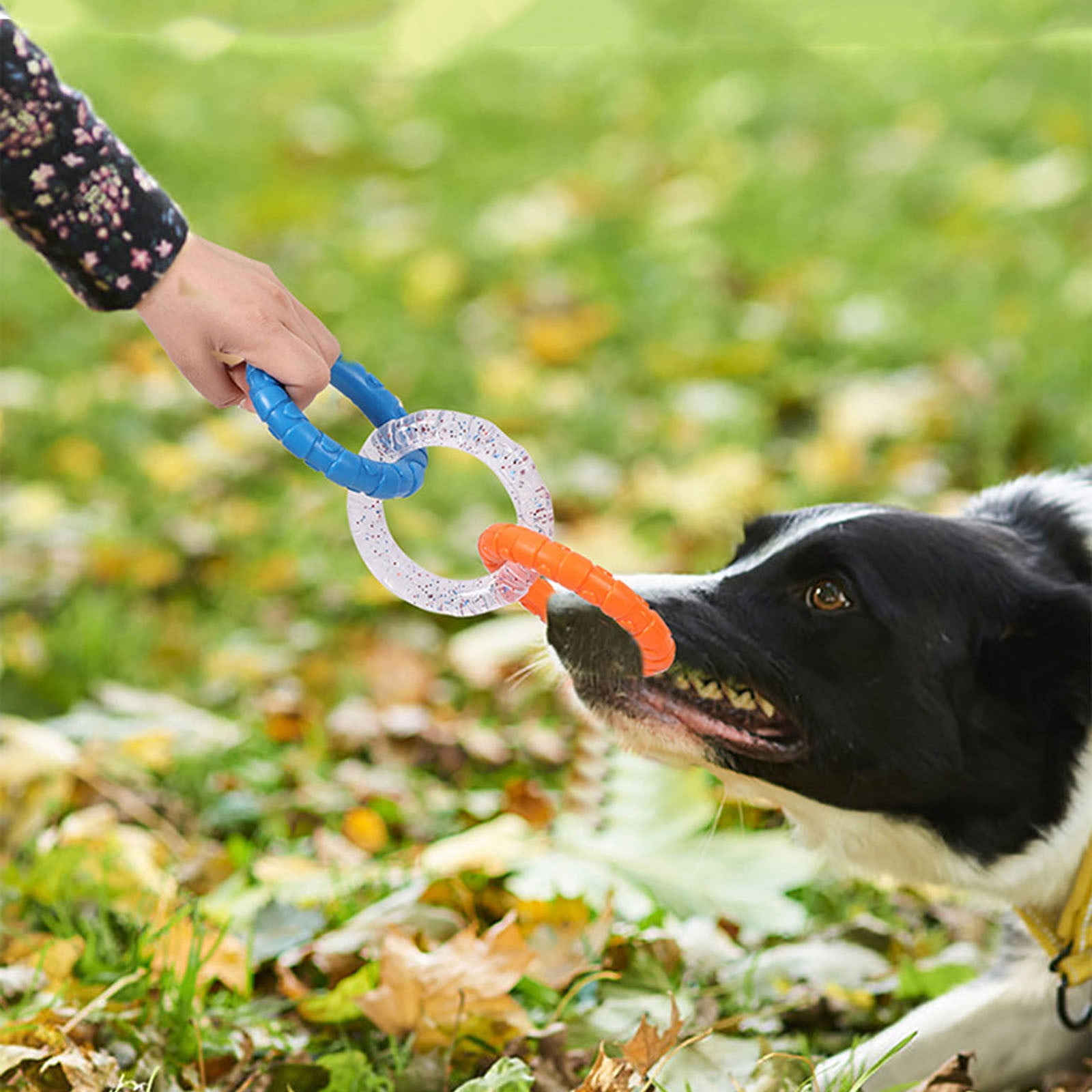 3-Ring Tug Dog Toy, Interactive Tug Pull Toy for Training and Teeth Cleaning, Indestructible Rubber of War Dog Chew Toy for Aggressive Chewers, Outdoor Puppy Ring Toy for Small Medium Large Dogs Orange-blue and purple-yellow - Image 6