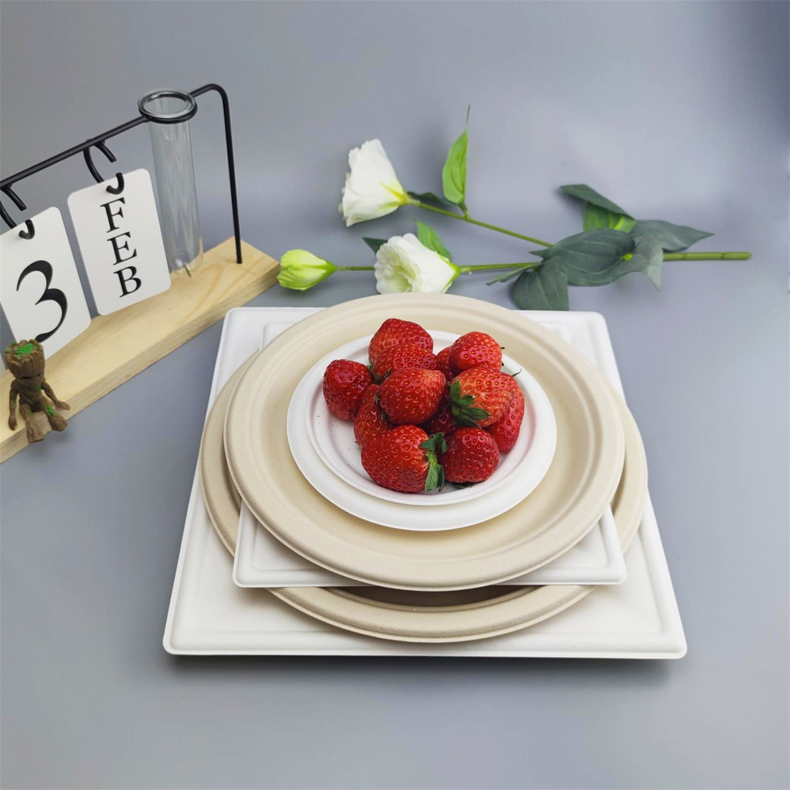 6 inch Round Disposable White Bagasse Dinner Plate, 100% Compostable Natural Sugarcane Fibers, Heavy Duty Leak-Proof Environmentaly Friendly, Biodegradable - 1 Count 6.1
