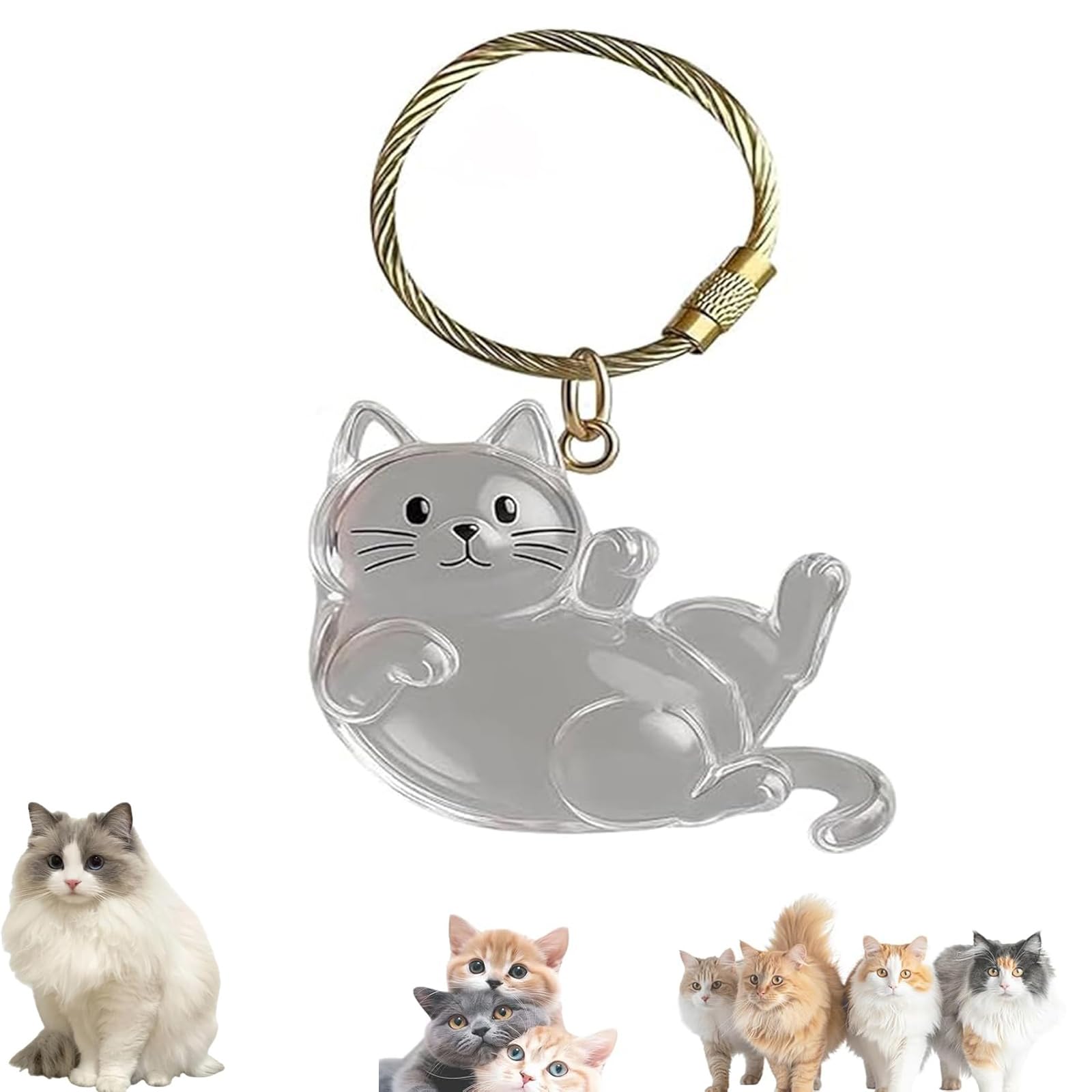 Keychain - Pet Hair - Storage Box - Pendants - Capsule Toy - Dog Hair Capsule - Memorial Pendant - Bag Keychain - Pendants - Memory Capsule Pendant - Cat Hair Collection - DIY - 1 Piece - Image 1