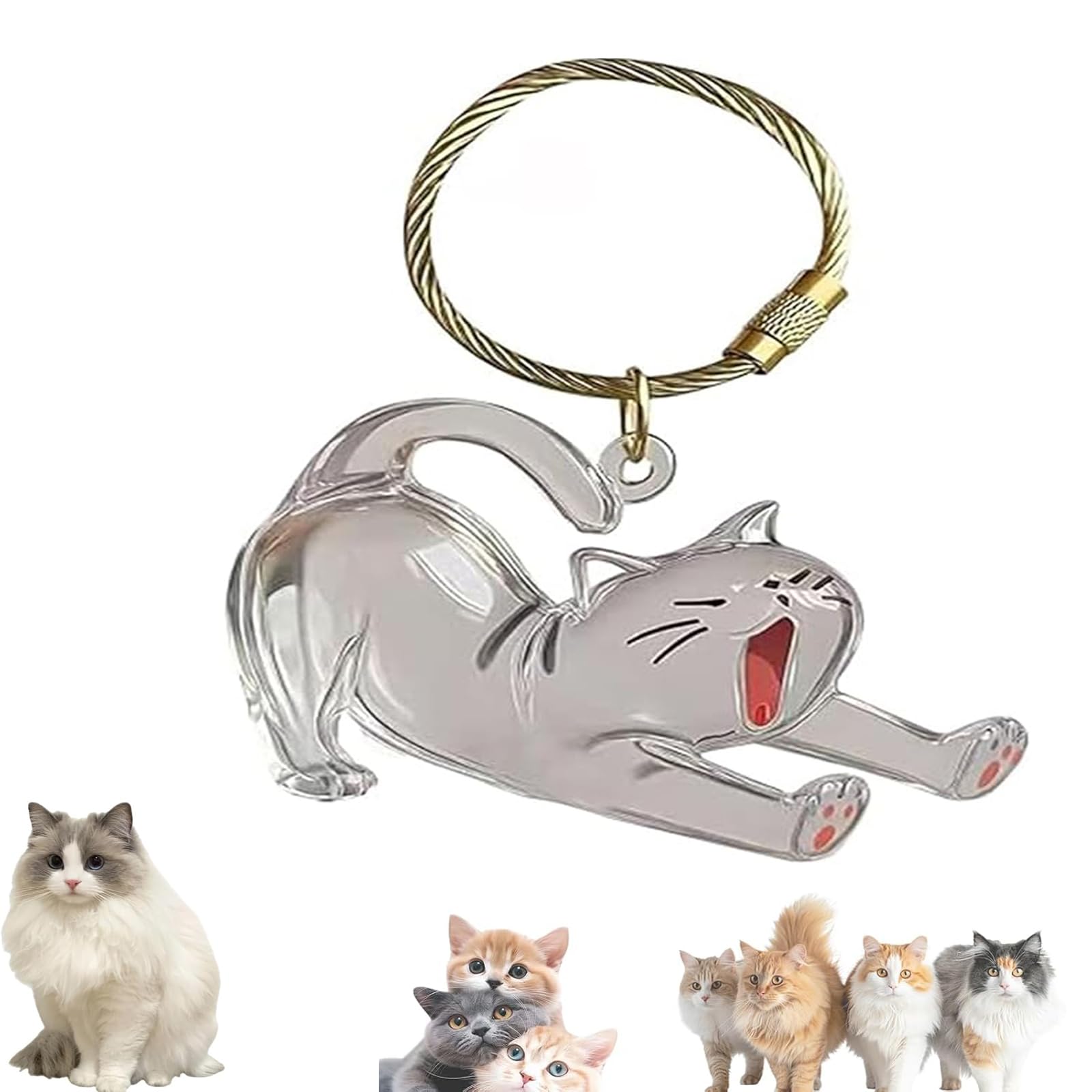 Keychain - Pet Hair - Storage Box - Pendants - Capsule Toy - Dog Hair Capsule - Memorial Pendant - Bag Keychain - Pendants - Memory Capsule Pendant - Cat Hair Collection - DIY - 1 Piece - Image 1