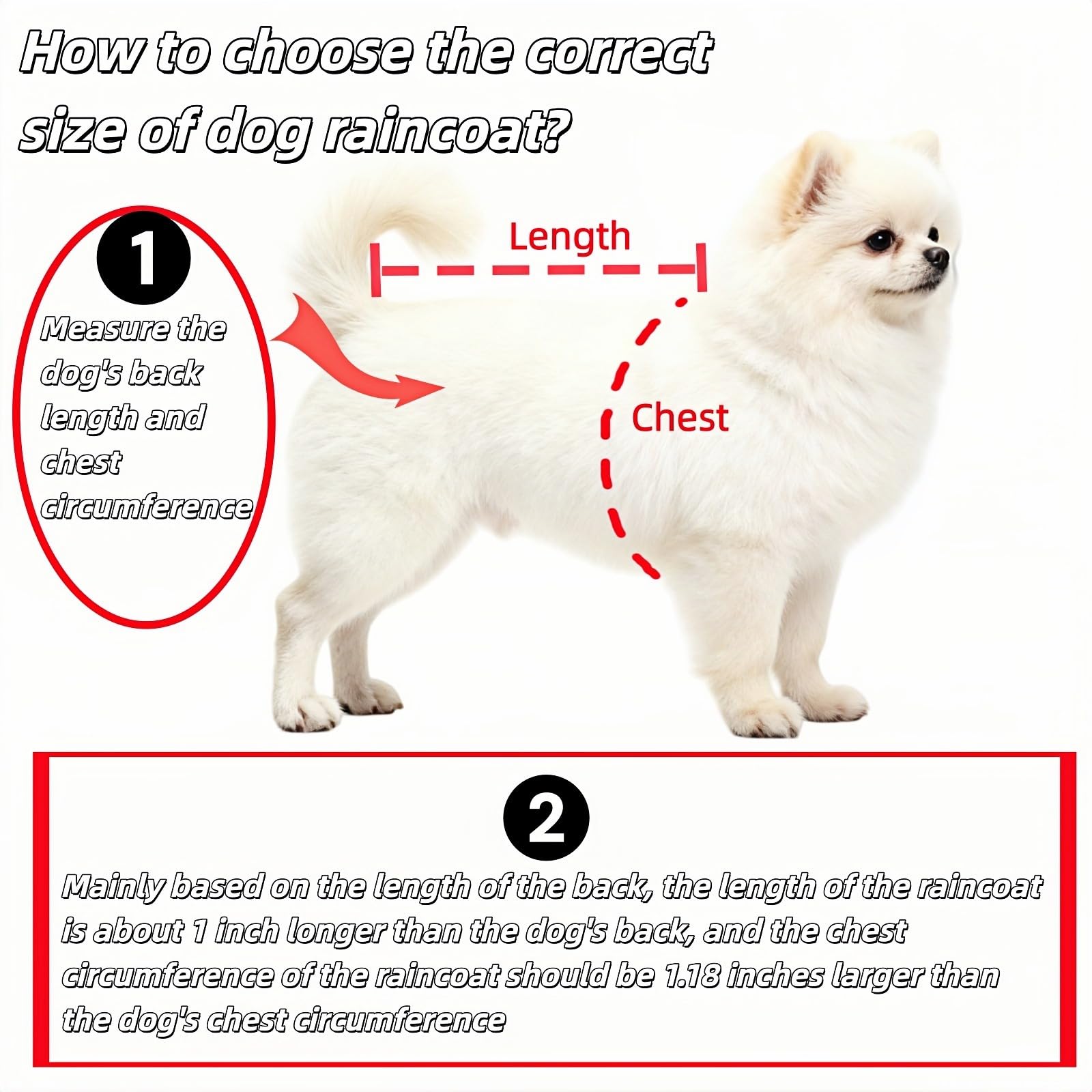 Dog Raincoat - Dog Raincoat - Waterproof Dog Coat - Transparent Rain Poncho - Dog Clothing - Rain Suit - Hooded Jacket - Dog Accessories - Walking Supplies - Dog Supplies - Outdoor Pet - Transparent - 1 Piece - Image 4