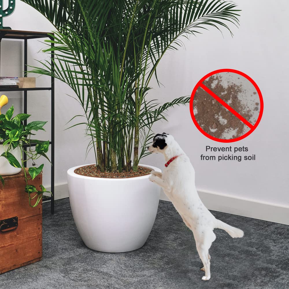 Plant Protector - Flower Pot Grid - Anti-dig Mat - Root Protection - Cat-Repellent Grid - Ground Cover Plant - Flower Pot Security - Gardening - Pet-Proof - Protection Against Cats - Plant Grid - Ground Grid - Brown - 2 Pieces - Image 4