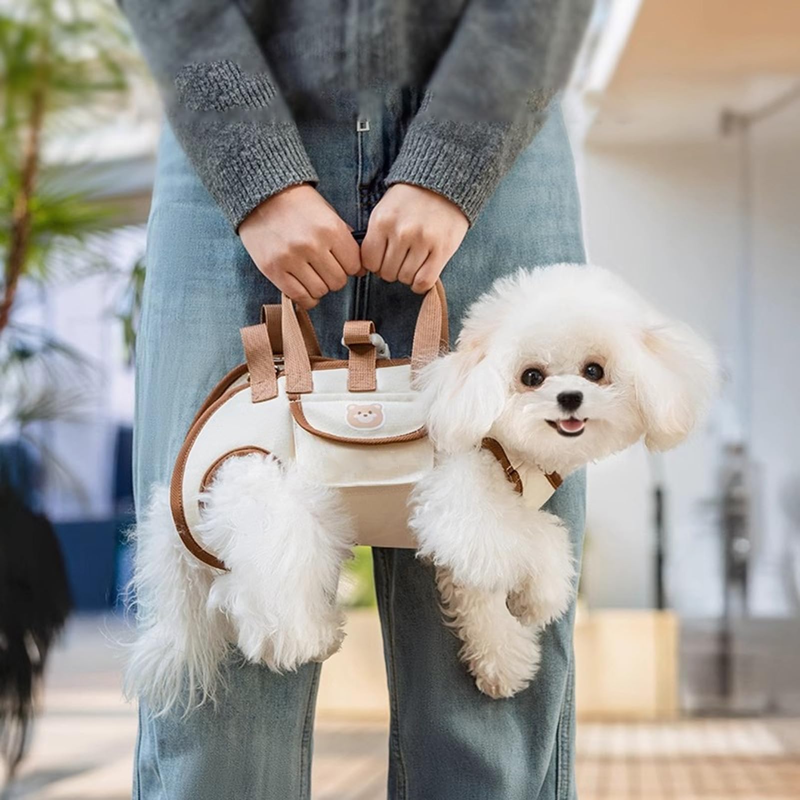 Dog Bag - Dog Carrier Bag - Dog Basket - Dog Cushion - Dog Coat - Dog Accessories - Cat Travel Basket - Dog Supplies - Puppy Bag - Dog Clothing - Cat Transport Box - Cat Basket - Travel Bag - White - 1 Piece - Image 1