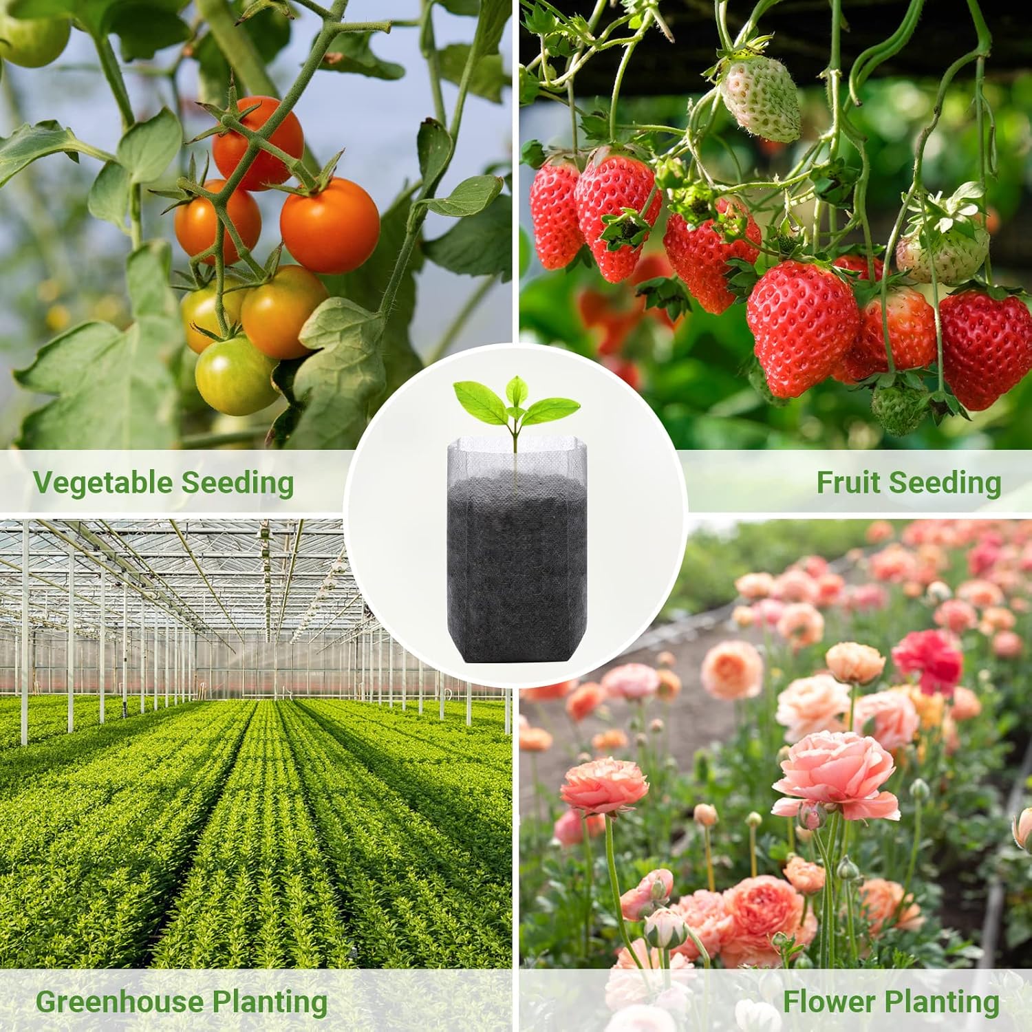 Grow Bags - Gardening - Grow Pots - Vegetable Garden - Seedlings - Plant Bags - Non-woven Grow Bags - Growing Set - Breathable Fleece - Plant Pots - Garden - Sowing - Cuttings - Vegetables - Fruit - Plant Bag - Vegetable Gardening - Sustainable - White - - Image 2