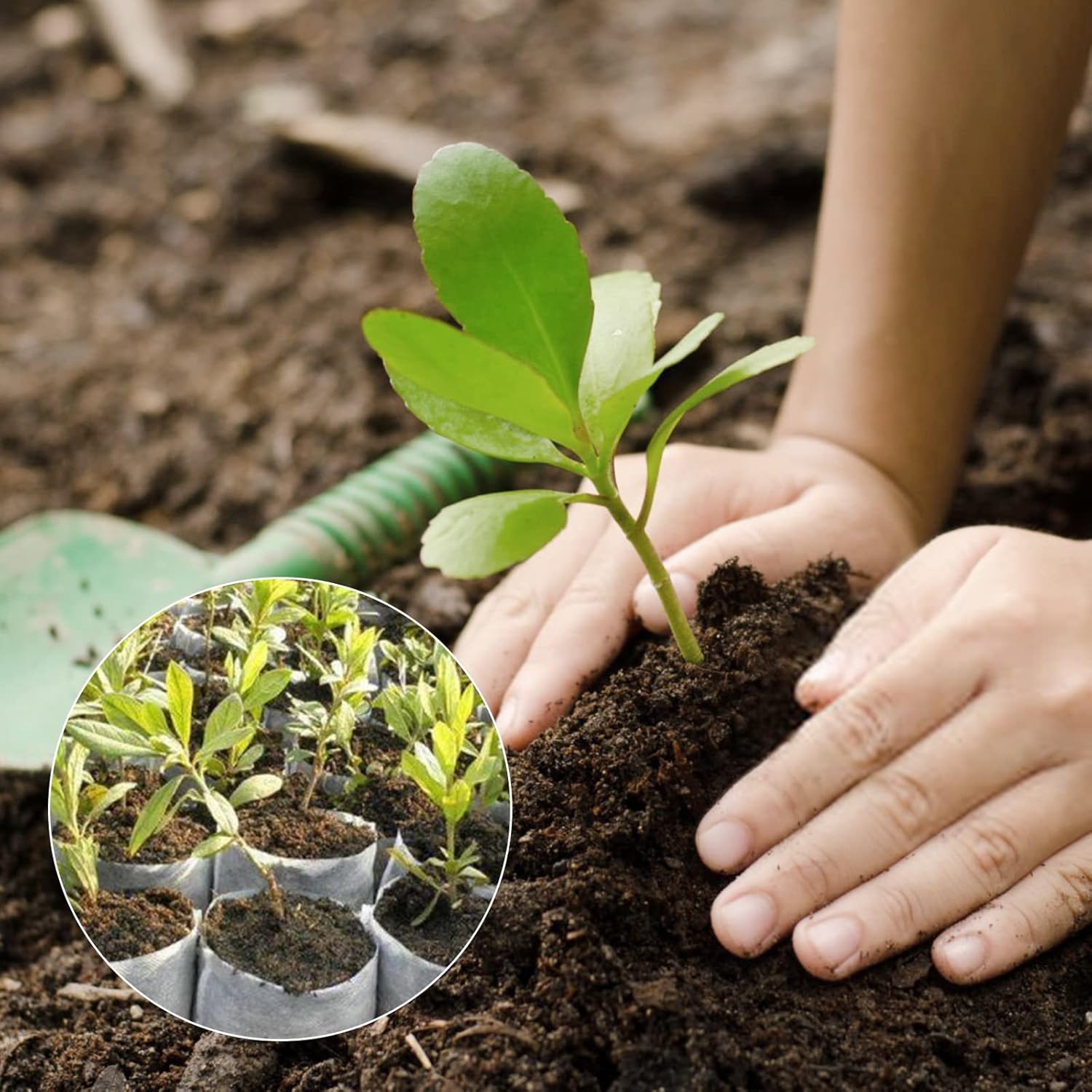 Grow Bags - Gardening - Grow Pots - Vegetable Garden - Seedlings - Plant Bags - Non-woven Grow Bags - Growing Set - Breathable Fleece - Plant Pots - Garden - Sowing - Cuttings - Vegetables - Fruit - Plant Bag - Vegetable Gardening - Sustainable - White - - Image 7