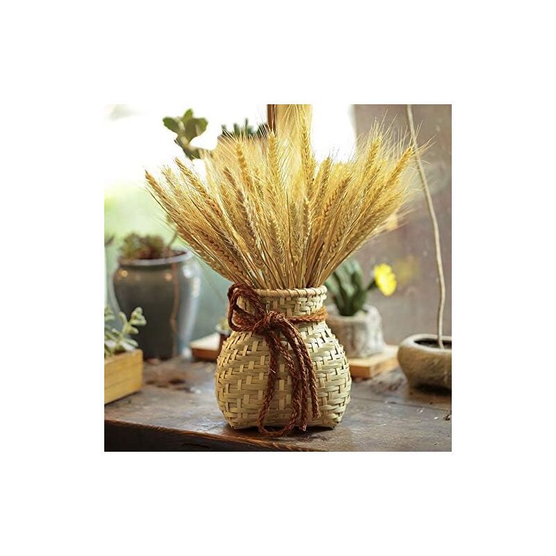 100 Pcs Natural Dried Wheat Stems Artificial Flower for DIY Decor - Image 2