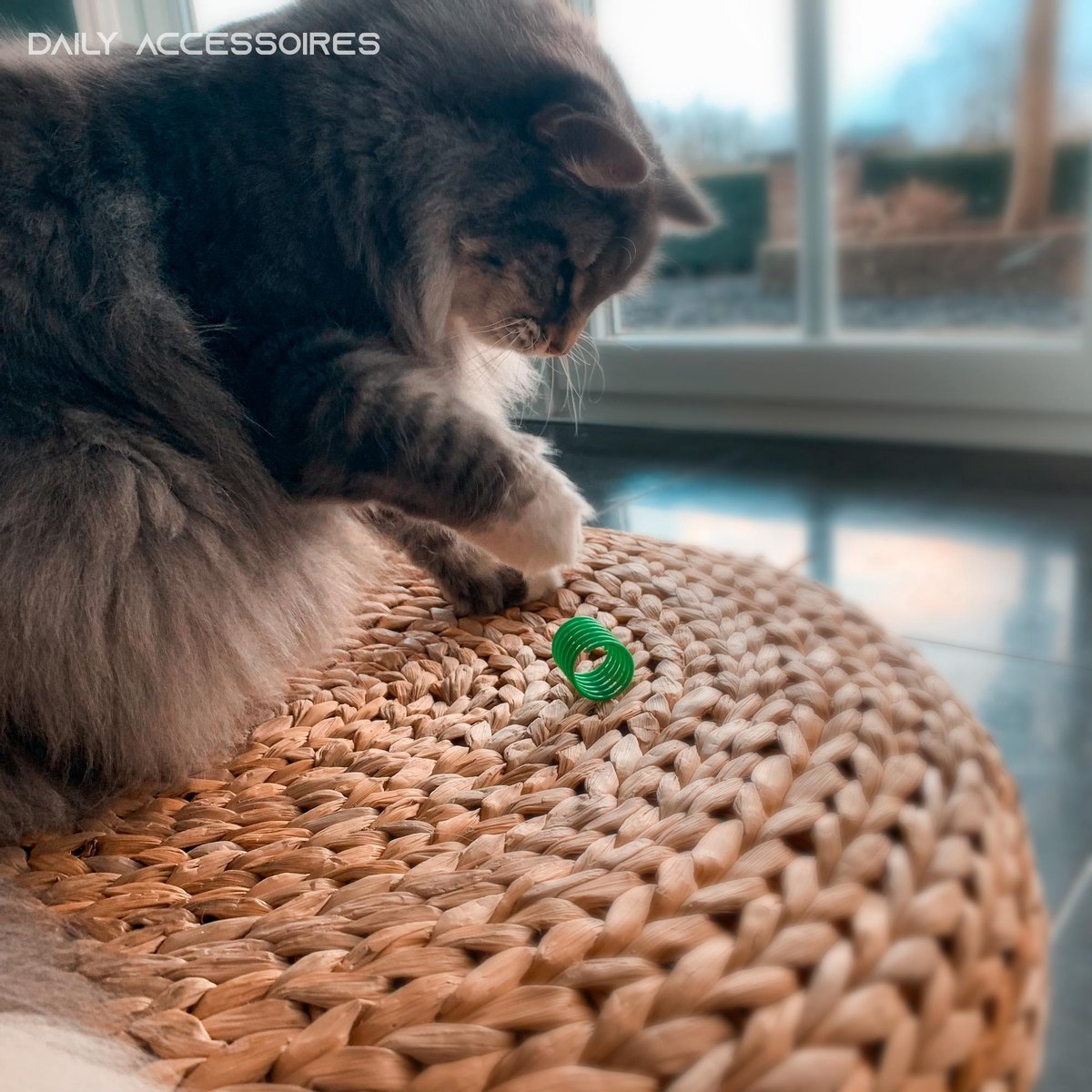 Cat Toys | Cat Springs | Cat Jumping Springs | Spring | Cat Spring | Set of 4 - Image 2