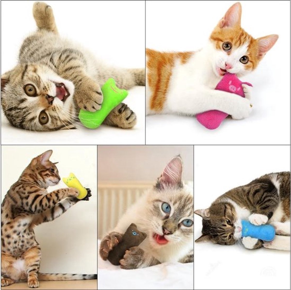 Catnip Plush Toy | Cat Toys | Catnip | Cat Toys | BLUE - Image 6