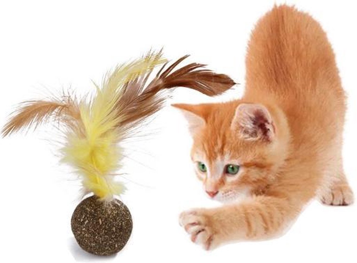 Catnip Ball with Feather | Fun & Tasty Cat Toy | Toys for Cats - Image 1