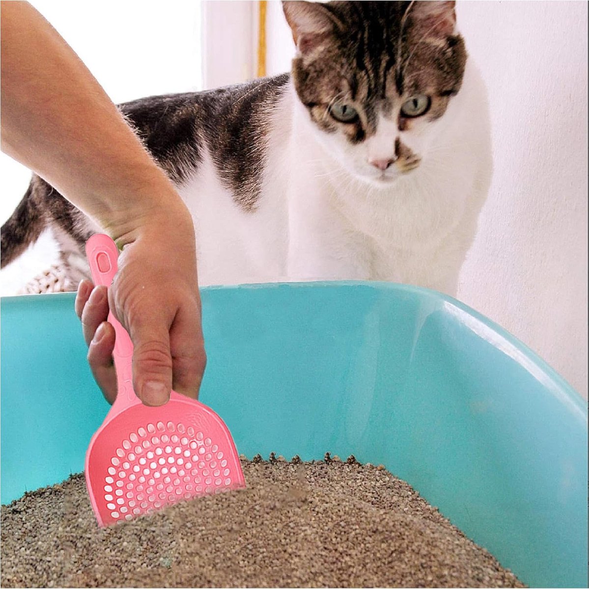 Cat Litter Scoop | Poop Scoop | 25 CM | Small Holes | BLUE - Image 8