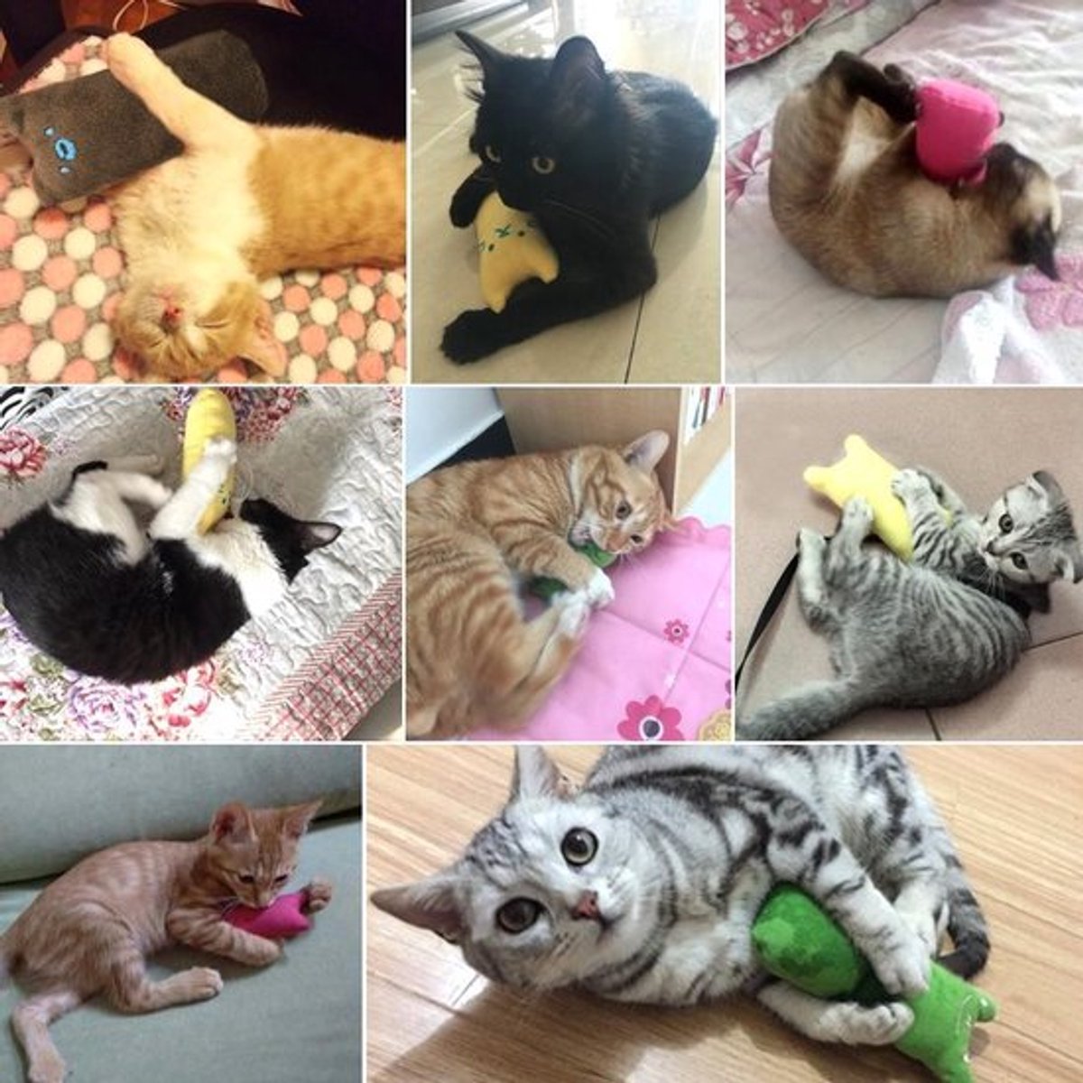 Catnip Plush Toy | Cat Toys | Catnip | Cat Toys | BROWN - Image 6