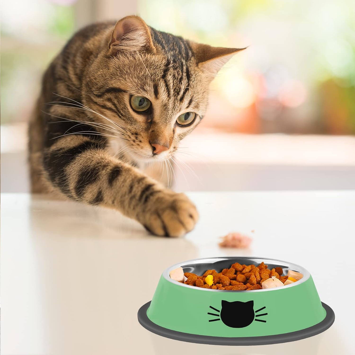 2/3Pcs Cat Bowls Non-Slip Stainless Steel Small Cat Food Bowls Unbreakable Thicken Cat Feeder 7 Oz Cat Dishes Suitable for Indoor Small Pets Removable Rubber Base Easily Clean Lovely Color Green - Image 6