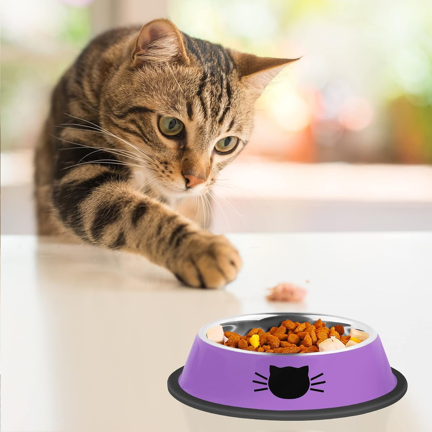 2/3Pcs Cat Bowls Non-Slip Stainless Steel Small Cat Food Bowls Unbreakable Thicken Cat Feeder 7 Oz Cat Dishes Suitable for Indoor Small Pets Removable Rubber Base Easily Clean Lovely Color Purple - Image 6