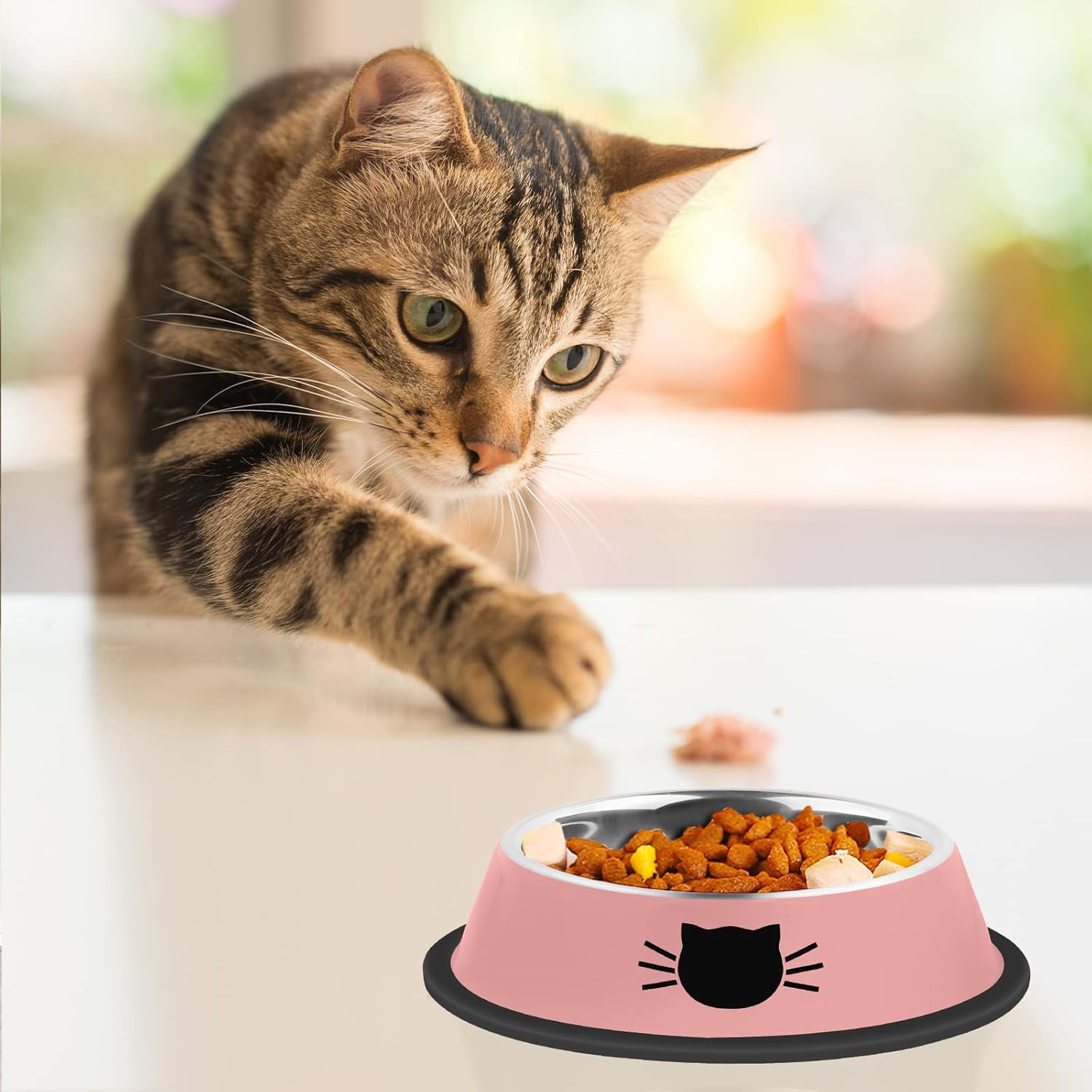 2/3Pcs Cat Bowls Non-Slip Stainless Steel Small Cat Food Bowls Unbreakable Thicken Cat Feeder 7 Oz Cat Dishes Suitable for Indoor Small Pets Removable Rubber Base Easily Clean Lovely Color Purple, Green, Pink - Image 6
