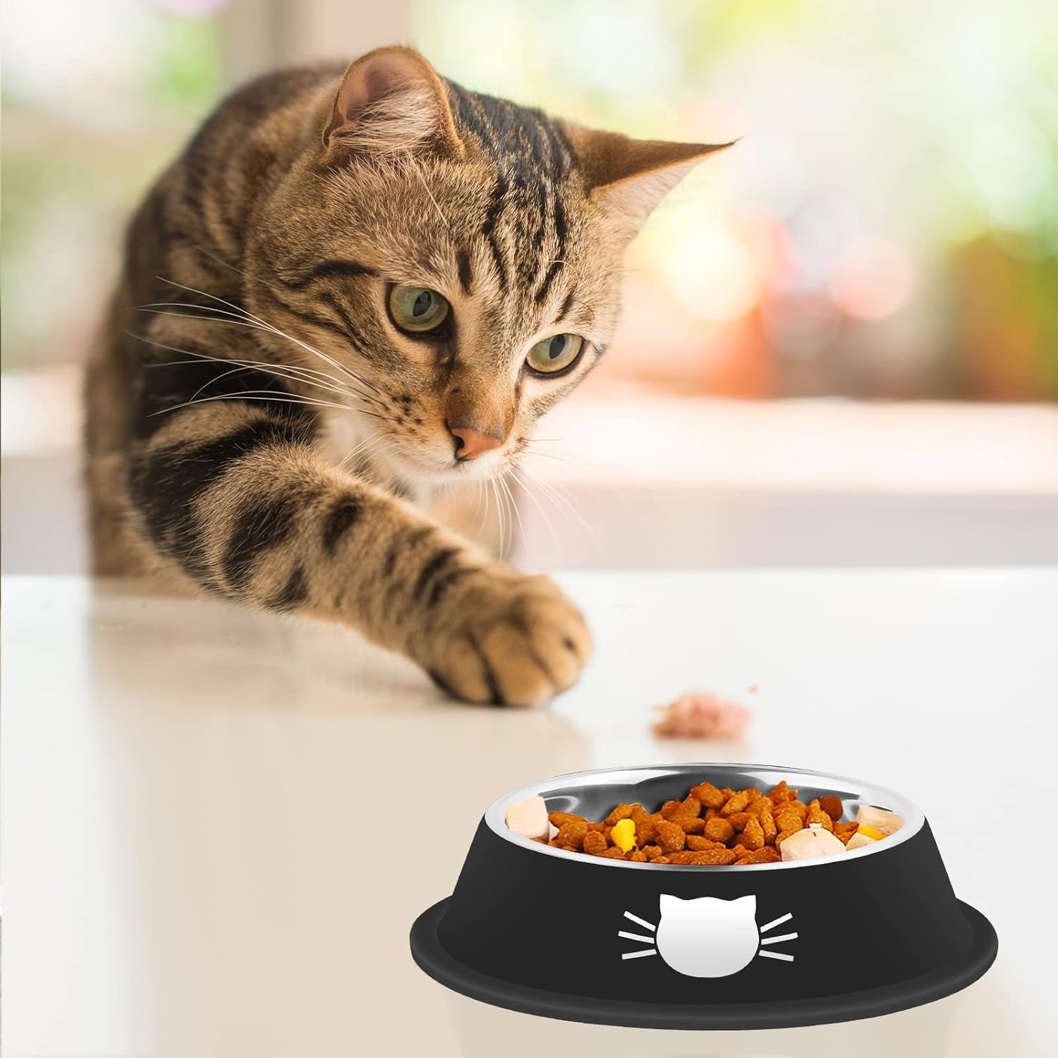 2/3Pcs Cat Bowls Non-Slip Stainless Steel Small Cat Food Bowls Unbreakable Thicken Cat Feeder 7 Oz Cat Dishes Suitable for Indoor Small Pets Removable Rubber Base Easily Clean Lovely Color Silver, Black - Image 6