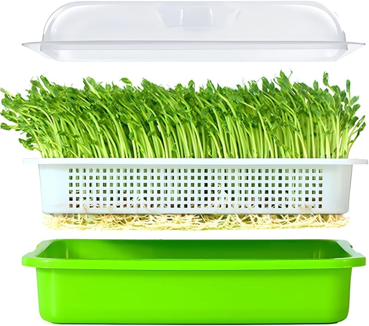 12.8x9.5x1.6 In Green Seed Sprouting Tray with Drain Holes,Microgreens Growing Trays,Growing Trays,seed Germination Propagation Trays for Garden,Home,Office - Image 1