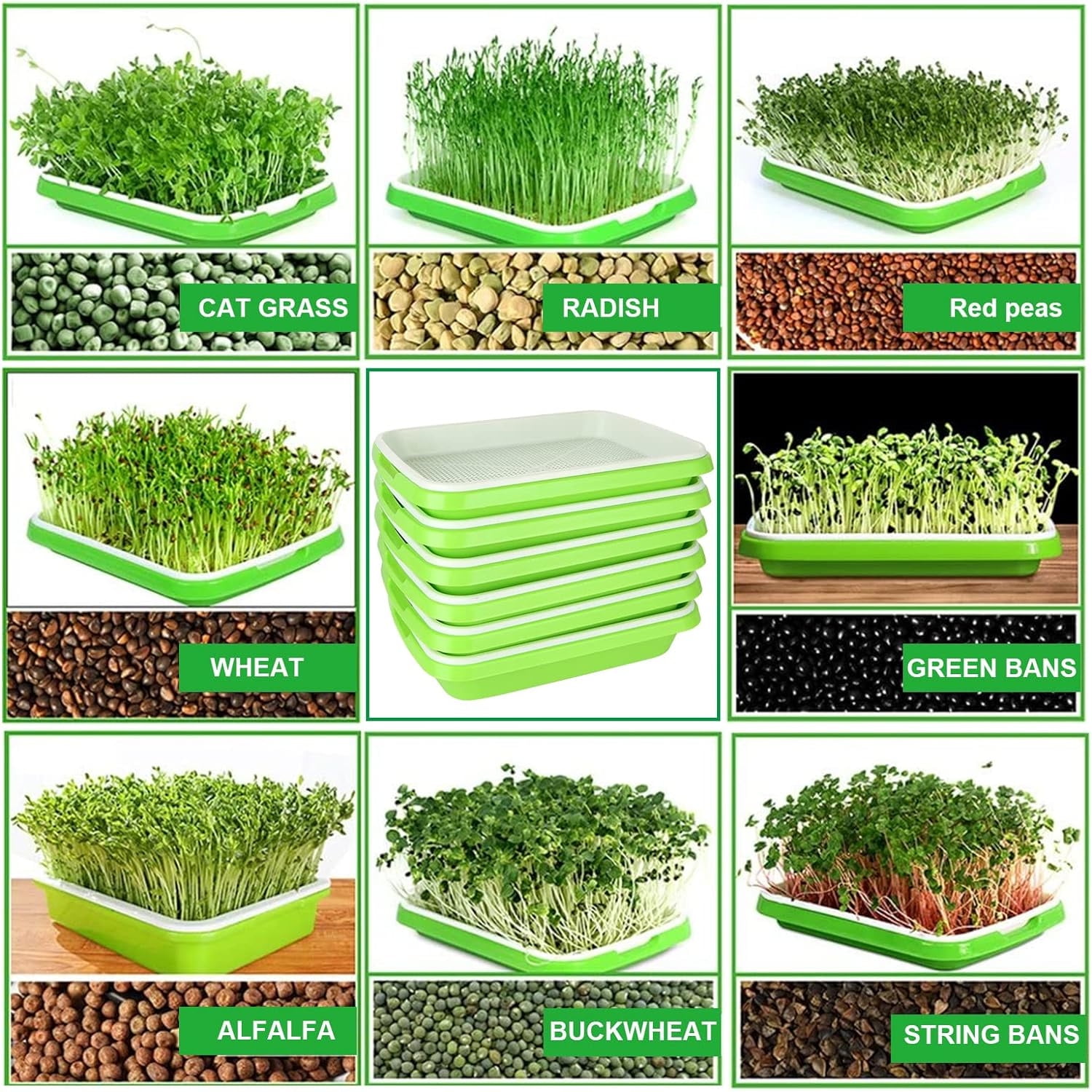 12.8x9.5x1.6 In Green Seed Sprouting Tray with Drain Holes,Microgreens Growing Trays,Growing Trays,seed Germination Propagation Trays for Garden,Home,Office - Image 6