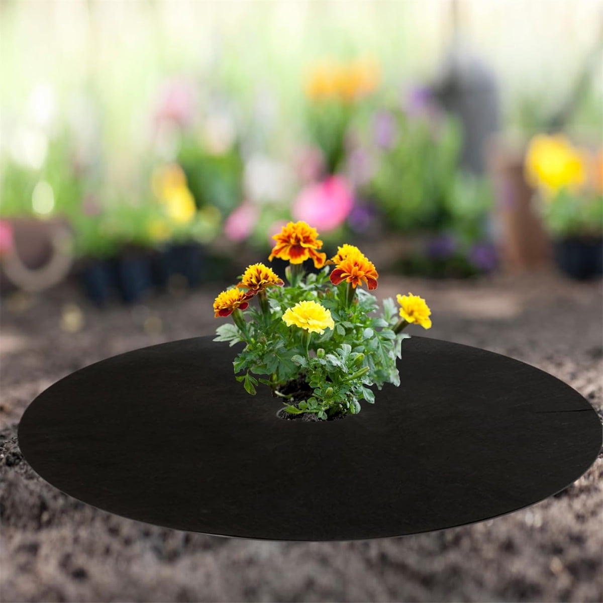 Tutuviw Non Woven Tree Ring, 24.4 inches Round Tree Base Weed Barrier Fabric Cover, Degradable and Reusable Tree Mulch Ring for Landscaping Weed Control, Root Protection Mat - Image 6