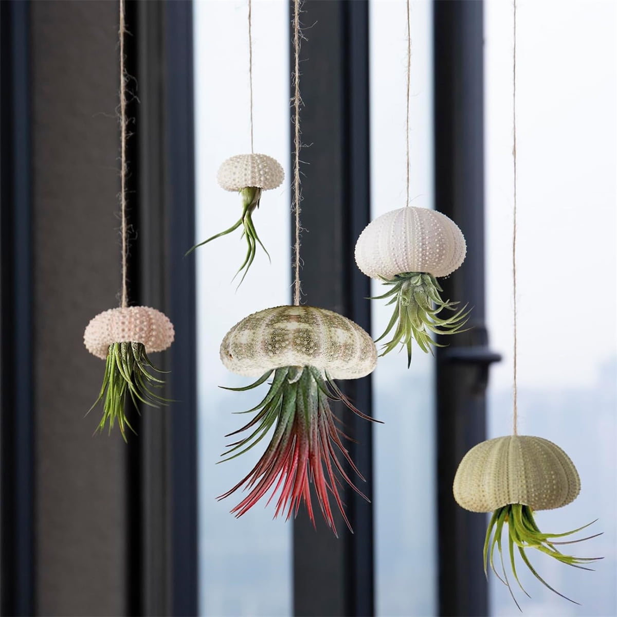 Tutuviw 5 Pcs Mini Sea Urchin Shell Air Plant Holders,Decorative Hanging Air Plant Pot, Tillandsia Succulent Display Container for Home Gardening Gifts Beach Theme Party Decors, No Plants - Image 5