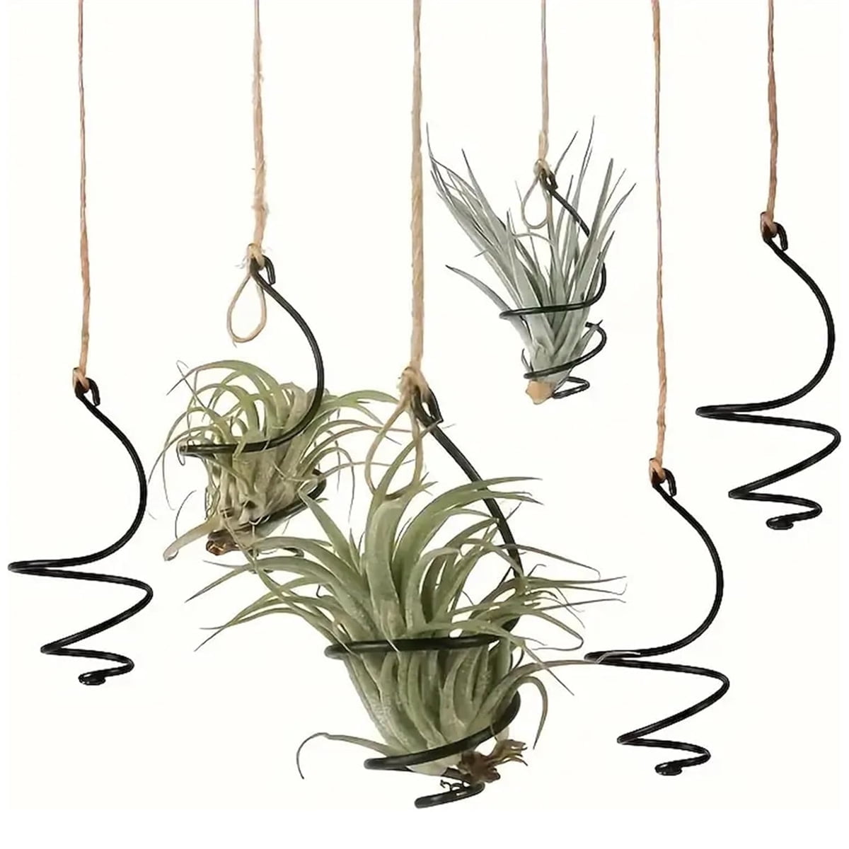 Tutuviw 6 Pcs Air Pineapple Pot Air Plant Hanger Holder,Plant Stands Hanging with Jute Ropes,Modern Plants Hanger Wall Metal Air Plants Stand,Air Plants Hook Air Shelf (Black Aluminum) - Image 1