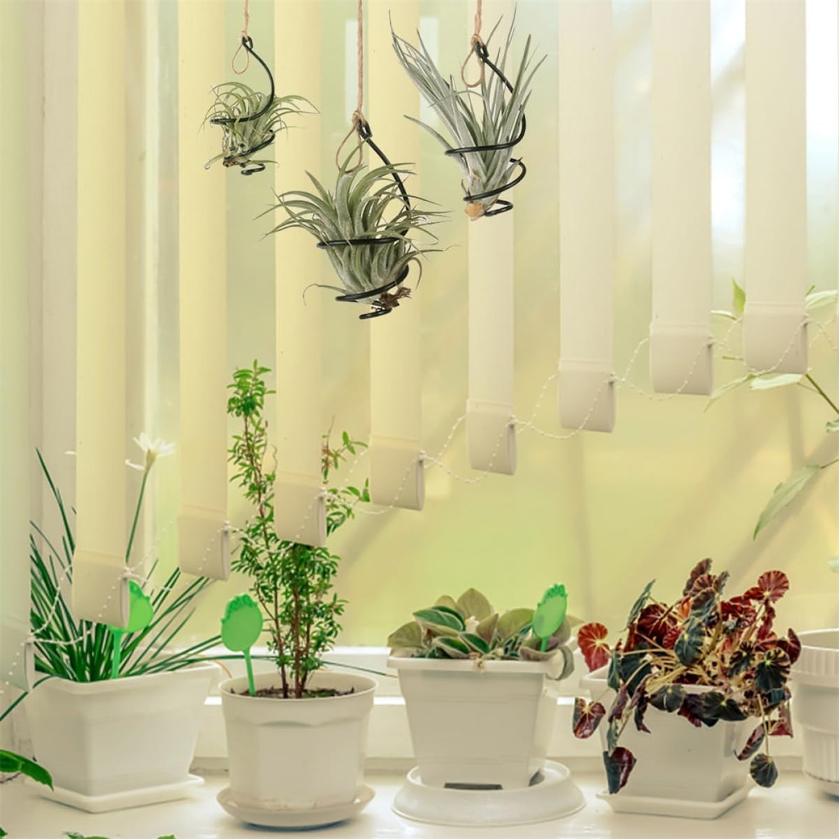 Tutuviw 6 Pcs Air Pineapple Pot Air Plant Hanger Holder,Plant Stands Hanging with Jute Ropes,Modern Plants Hanger Wall Metal Air Plants Stand,Air Plants Hook Air Shelf (Black Aluminum) - Image 4