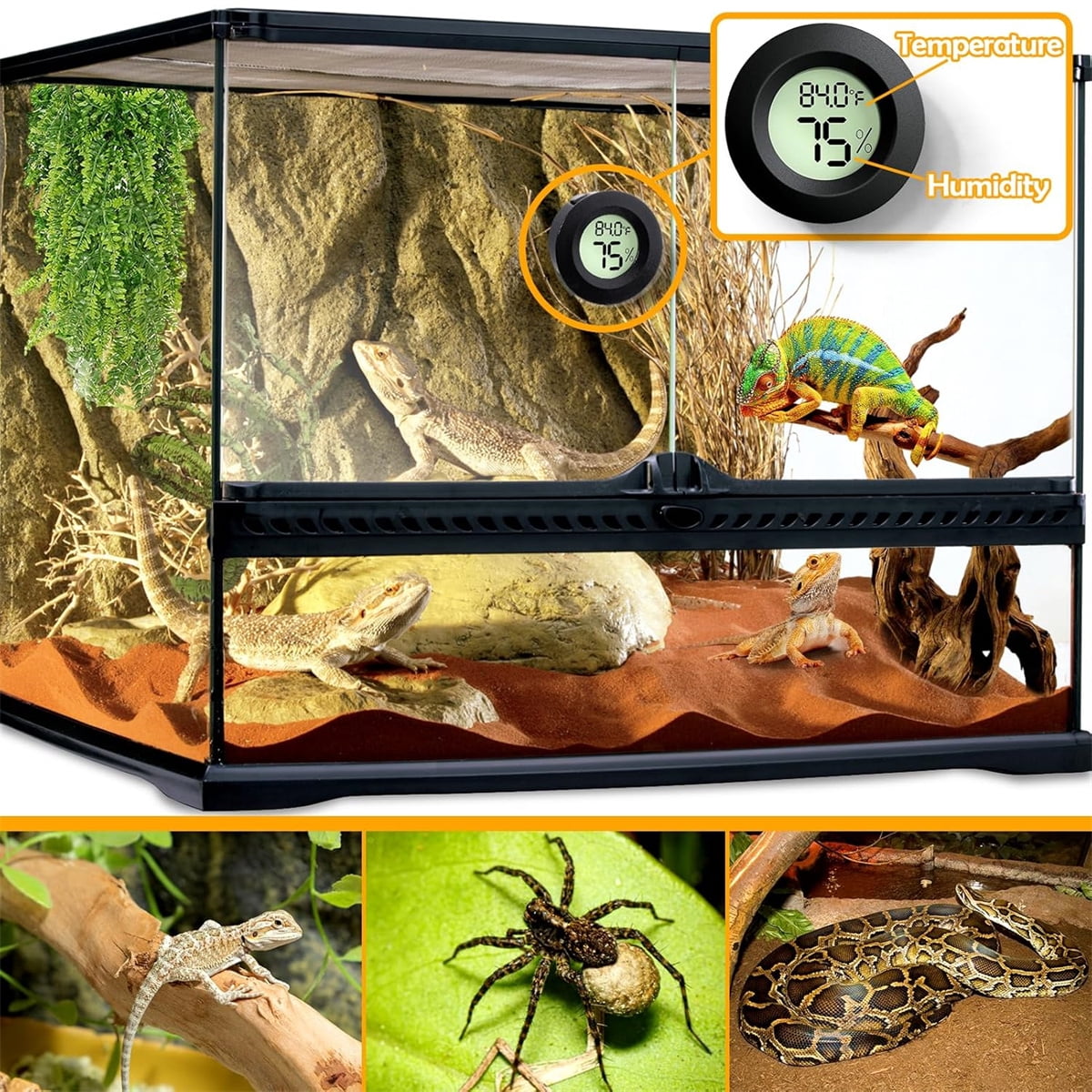 Tutuviw Reptile Thermometer Hygrometer LCD Digital Humidity Gauge for Reptile Heat Pad to Monitor Temperature and Humidity in Reptile Terrarium for Turtle Snake Lizard Frog Plant Box, 2Pcs 1.7 - Image 3
