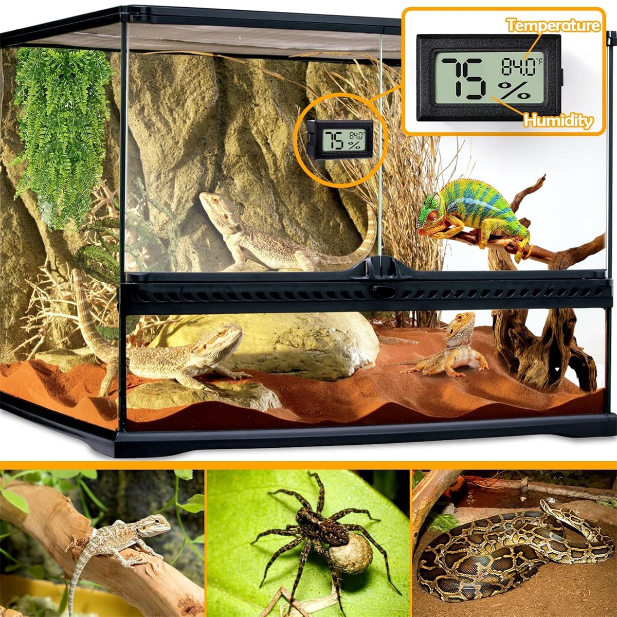 Tutuviw Reptile Thermometer Hygrometer LCD Digital Humidity Gauge for Reptile Heat Pad to Monitor Temperature and Humidity in Reptile Terrarium for Turtle Snake Lizard Frog Plant Box, 2Pcs 2