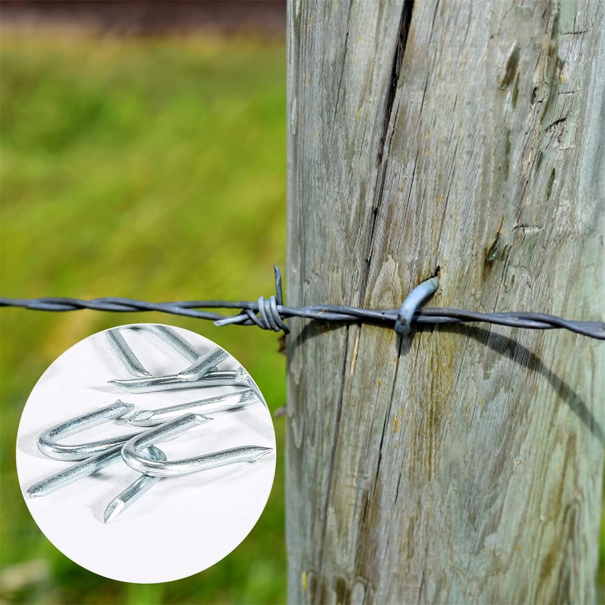 U Fence Staples,Tutuviw 100 Pcs 0.8 x 0.5in Galvanized U Shaped Nails,Steel Wire Fencing Staples,Heavy Duty Staples Fencing Staples,U Nails for Wood Fencing Barbwire Fence (Siver） - Image 7