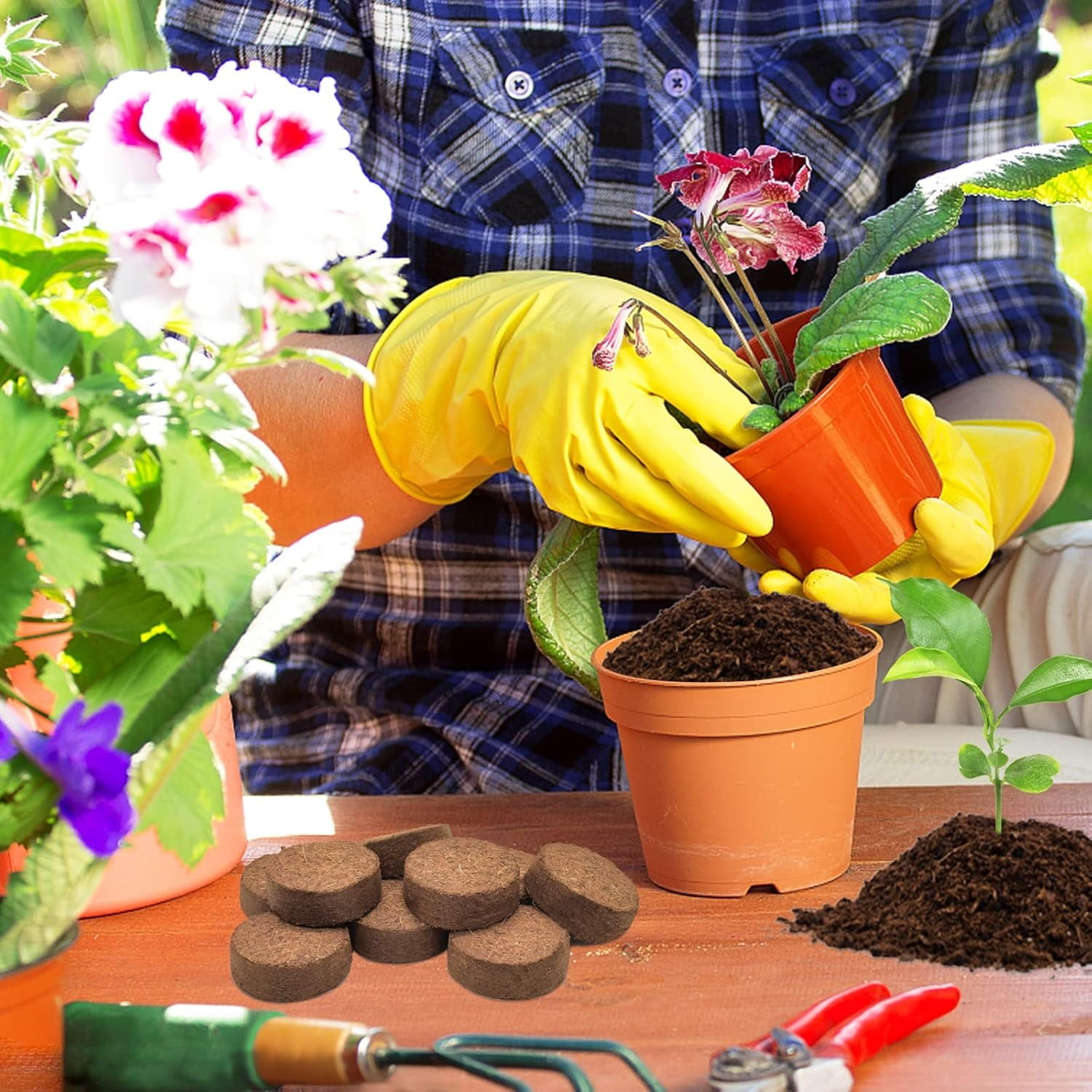 20Pack Coir Pellets Seed Starting Soil,1.2x0.4In Portable Coco Peat Soil for Indoor Outdoor,QZS Compressed Coir Fiber Potting Soil for Plants,Herb - Image 6