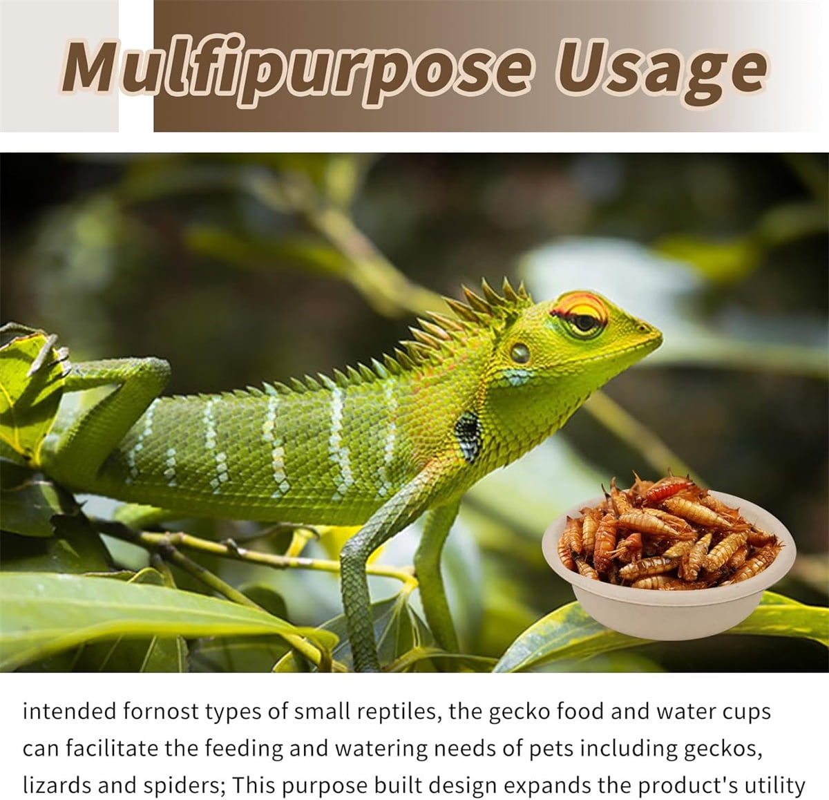 Tutuviw Biodegradable Disposable Paper Pet Bowls Bulk,100Pcs 1OZ Paper Feeding Cups,Sturdy and Leakproof Feeder Dish,Non-Toxic Food and Water Dishes for Lizards/Spiders/Reptiles/Small Dogs/Cats - Image 6