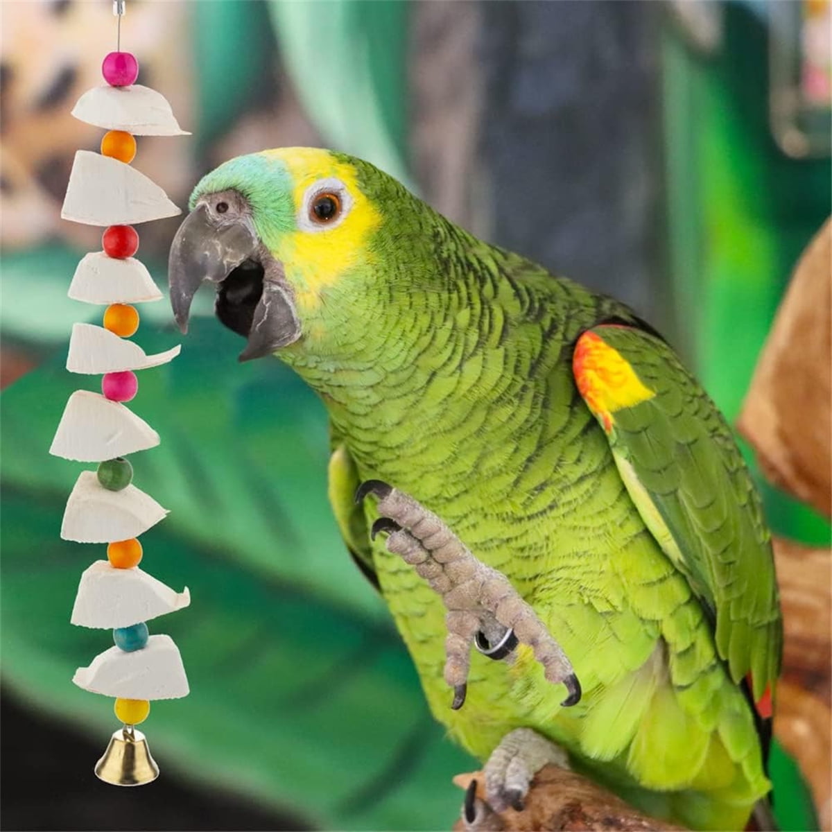 Tutuviw 2Pcs Bird Cuttlebone Chew Toy,Natural Calcium Cuddle Bone Sharp Beaks Cage Toy,Large Parrot Chewing Calcium Cuttlebone with Bells,Calcium Stone Chew Toy Grinding Teeth for Parrot Hamster - Image 5