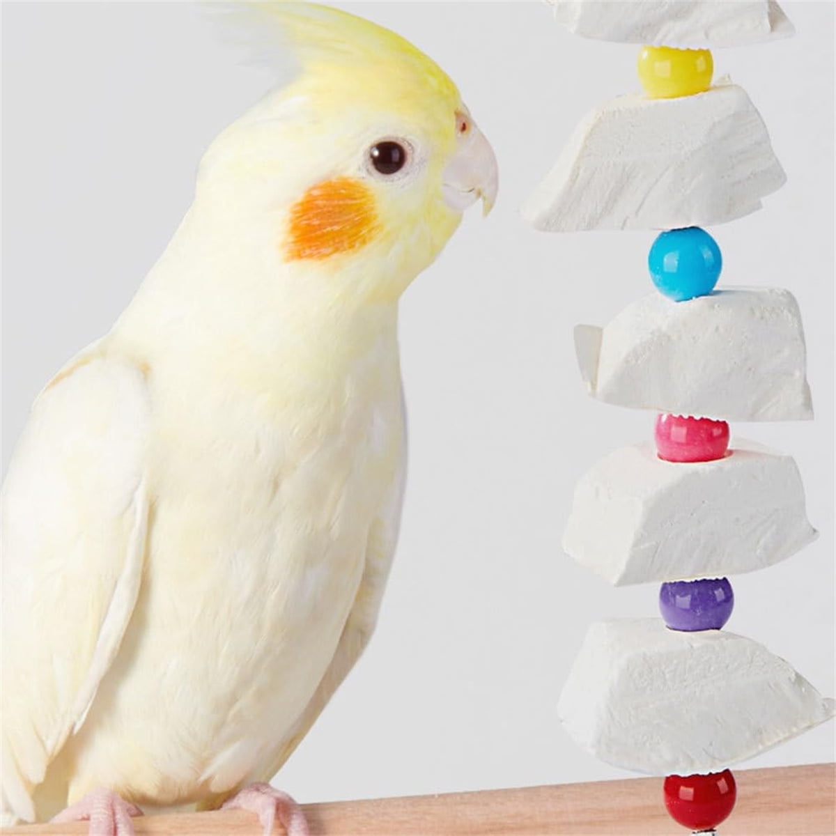 Tutuviw 2Pcs Bird Cuttlebone Chew Toy,Natural Calcium Cuddle Bone Sharp Beaks Cage Toy,Large Parrot Chewing Calcium Cuttlebone with Bells,Calcium Stone Chew Toy Grinding Teeth for Parrot Hamster - Image 7