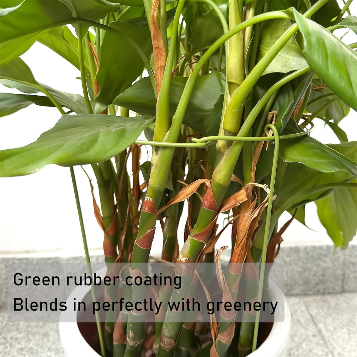 Tutuviw 3 Pcs Garden Plant Support Rings for Potted Plant,9x11in Round Metal Plant Stakes Rings,Garden Plant Support Brace,Peony Cages Support Stakes Ring,Plant Support Stakes for Indoor Outdoor 7