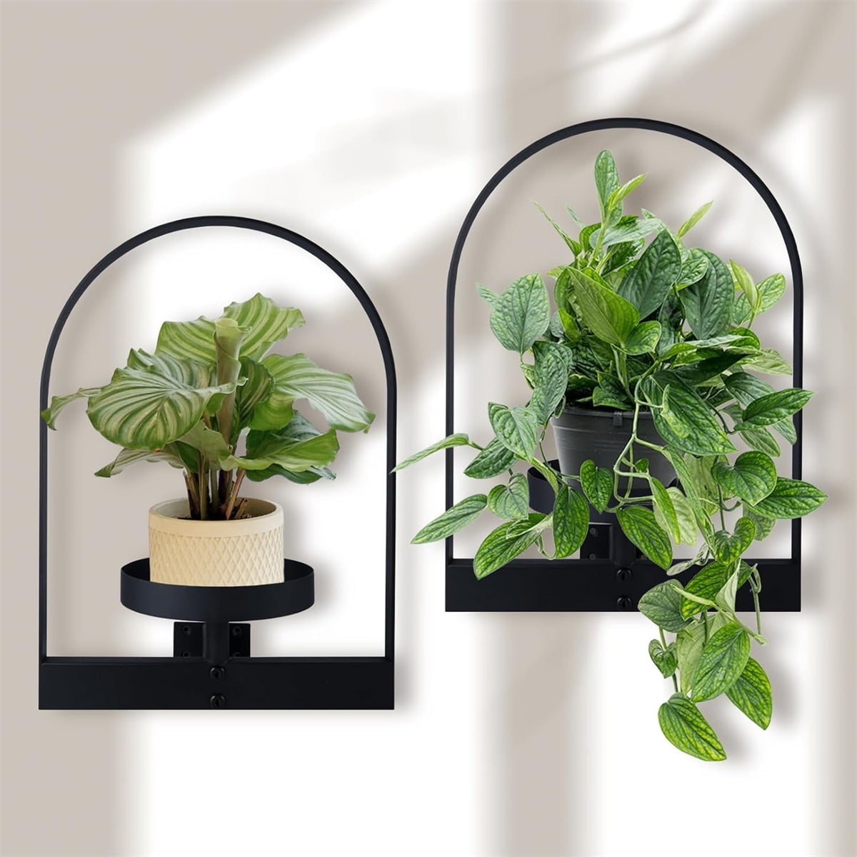 Metal Hanging Flower Holder,QZS Wall Plant Holders,Premium Picture Frame Flower Stand,Portable Indoor Plant Shelves for Bathroom,Living Room,2pcs - Image 4