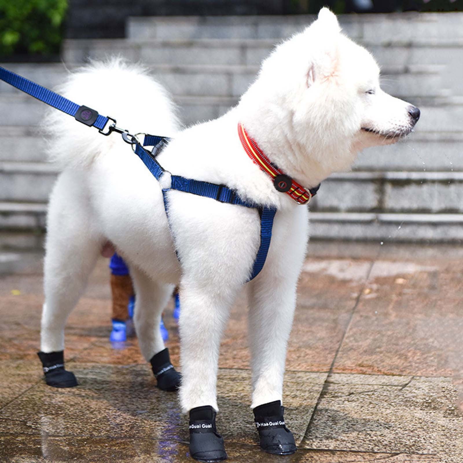 Pet Shoes, Candy Colors Anti-Slip Waterproof Rubber Rain Shoes Boots Paw Cover, Dog Boots & Paw Protectors, for Small Medium Dogs M Black - Image 1