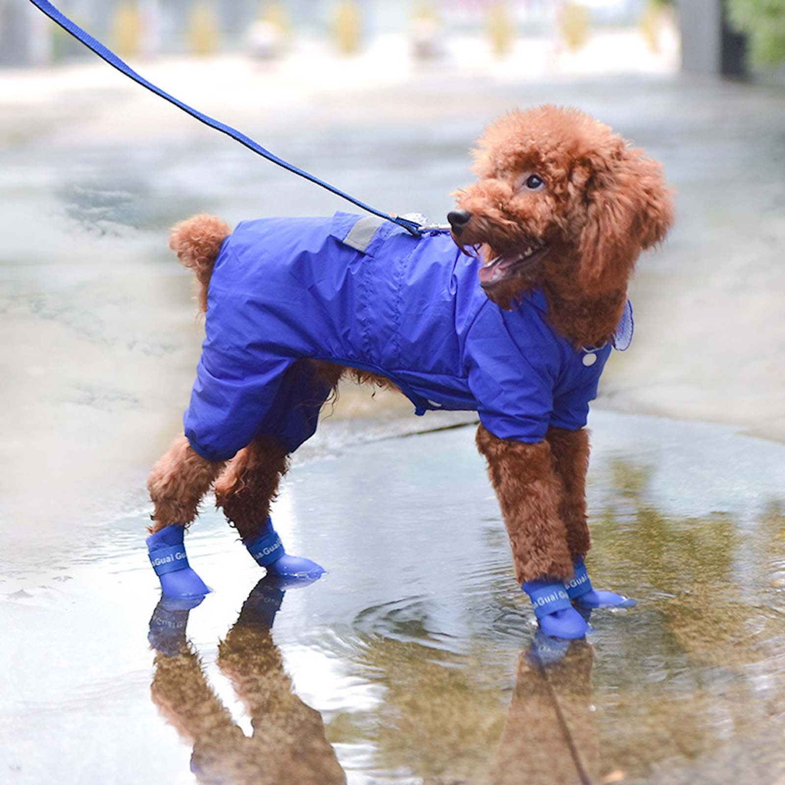 Pet Shoes, Candy Colors Anti-Slip Waterproof Rubber Rain Shoes Boots Paw Cover, Dog Boots & Paw Protectors, for Small Medium Dogs M Blue - Image 1