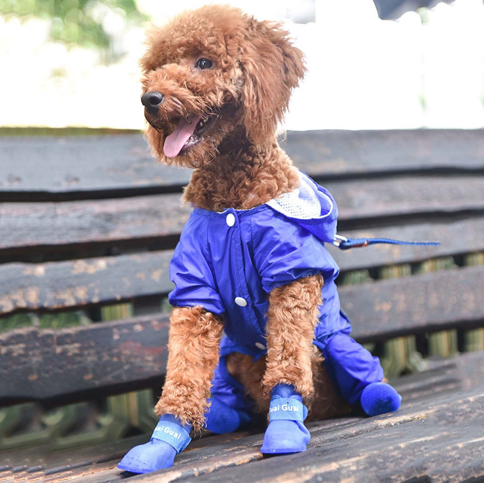 Pet Shoes, Candy Colors Anti-Slip Waterproof Rubber Rain Shoes Boots Paw Cover, Dog Boots & Paw Protectors, for Small Medium Dogs M Blue - Image 7