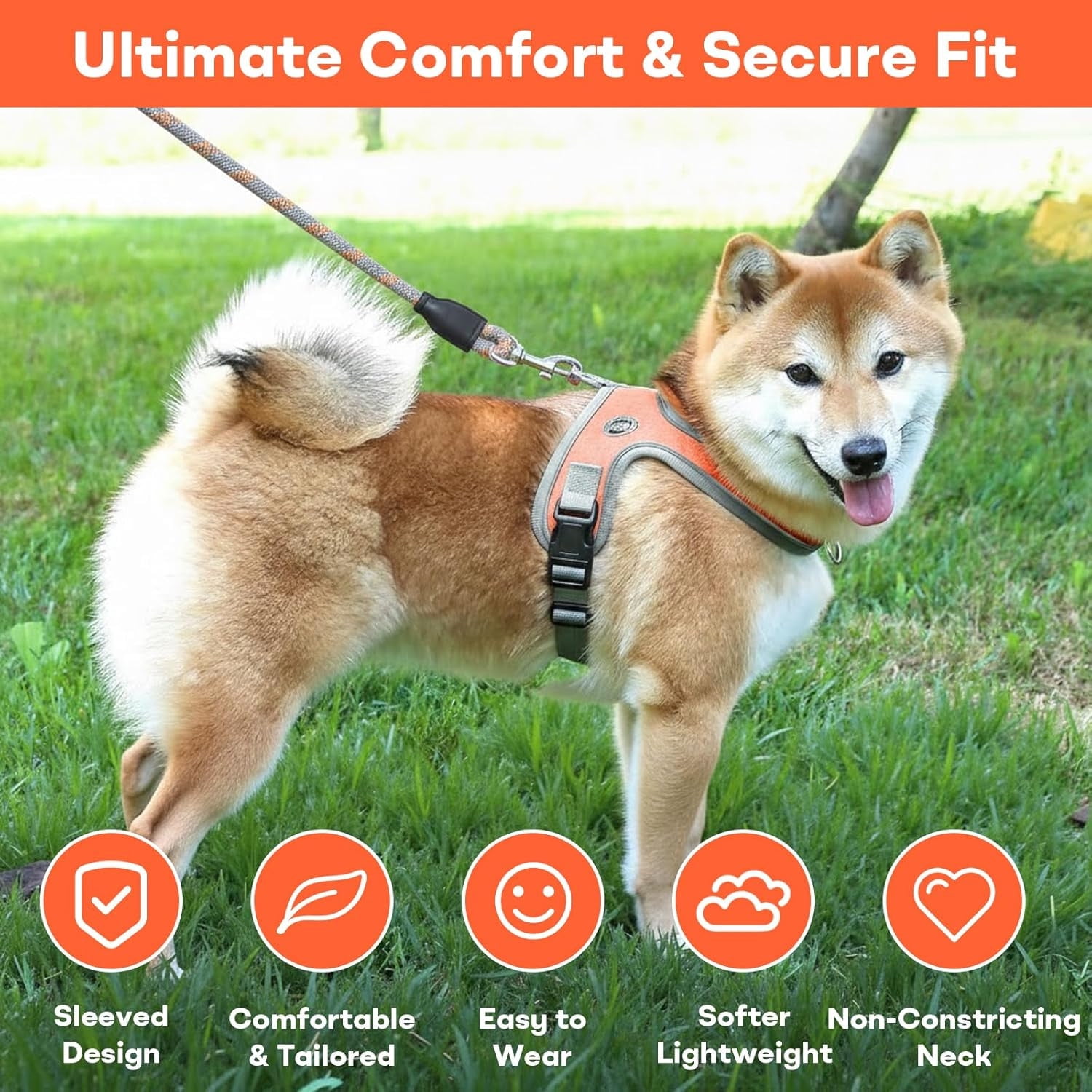 Dog Harness and Leash, No Pull Saddle Style Pet Harness, Breathable Mesh Adjustable Reflective Dog Vest, Dog Leash, for Dogs and Cat Medium Small Harness Blue,XS - Image 3