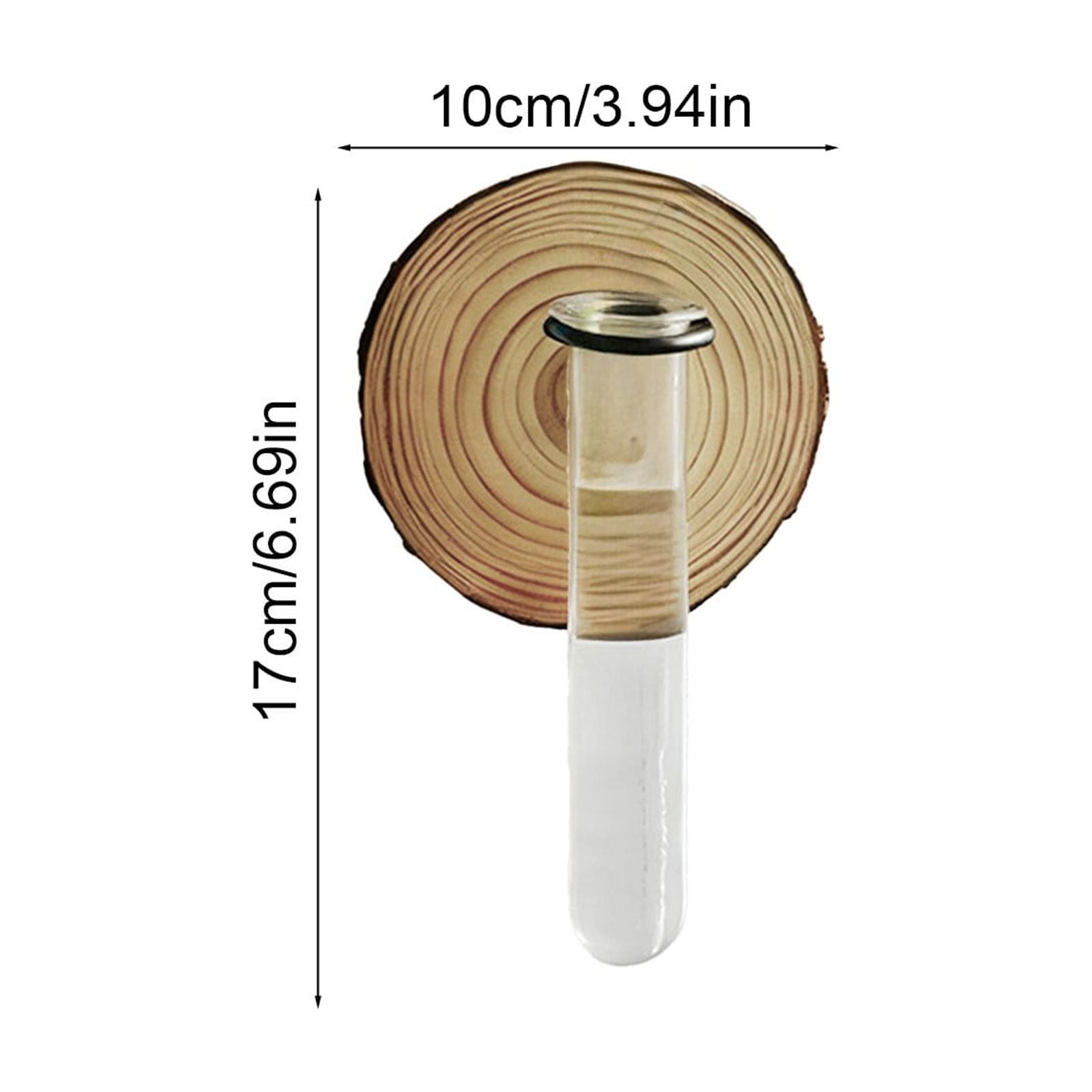 Plant Propagation Station, Wall Hanging Plants Terrarium, Wall Mounted Vases Flower Pots, Hydroponic Plants Vases, for Home Office Decor, Test Tube Propagate Air Plant Cutting Holder 1Pc - Image 3