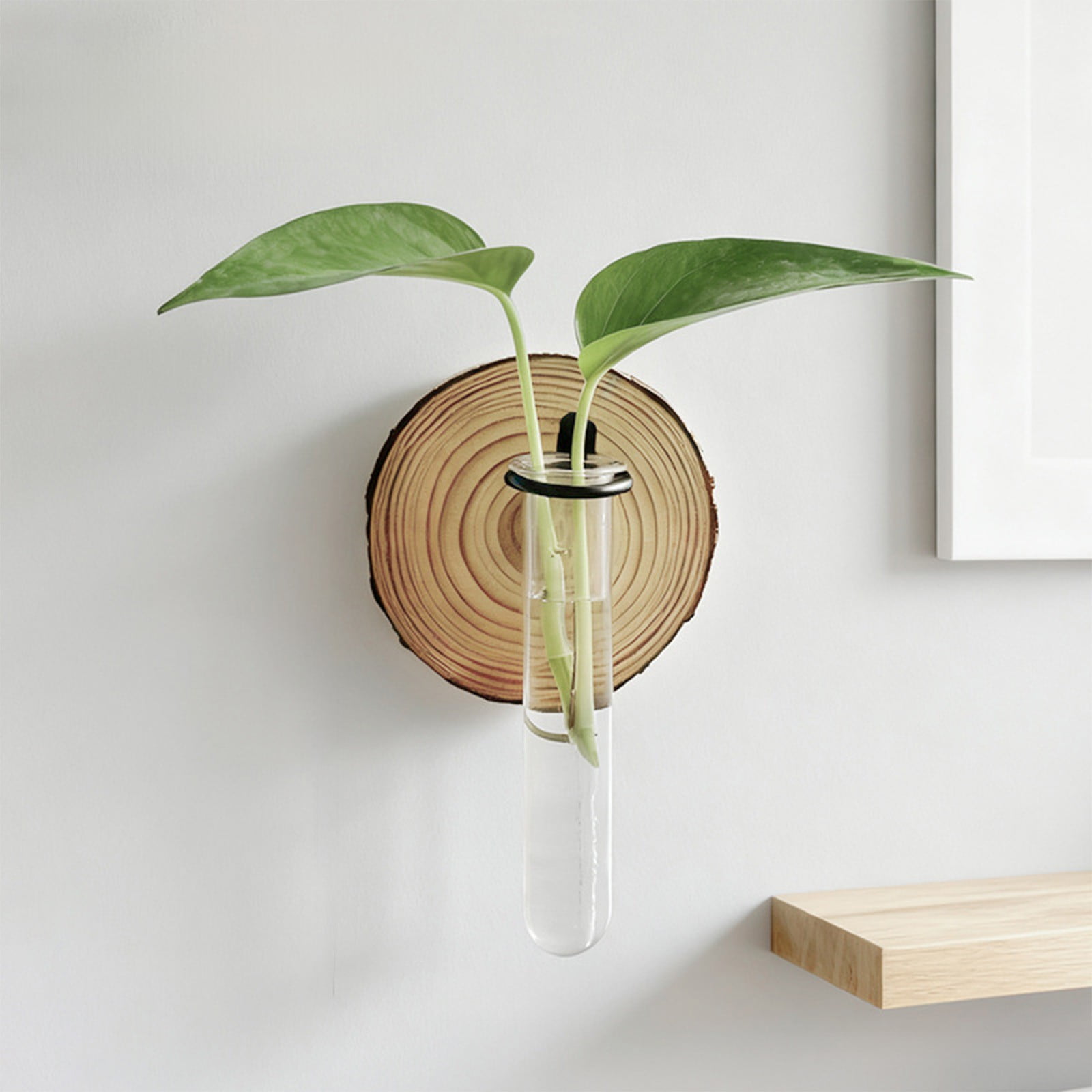 Plant Propagation Station, Wall Hanging Plants Terrarium, Wall Mounted Vases Flower Pots, Hydroponic Plants Vases, for Home Office Decor, Test Tube Propagate Air Plant Cutting Holder 1Pc - Image 4